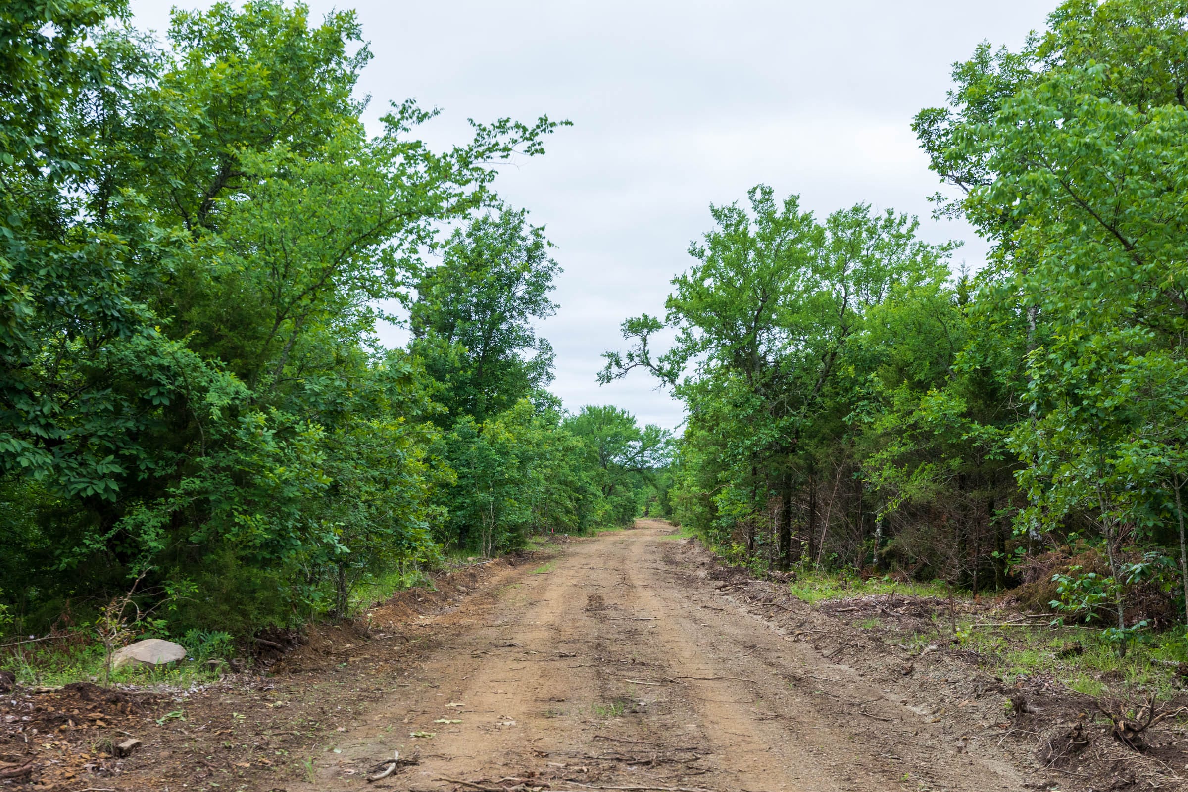 Falcon Crest Tract 9 photo 4