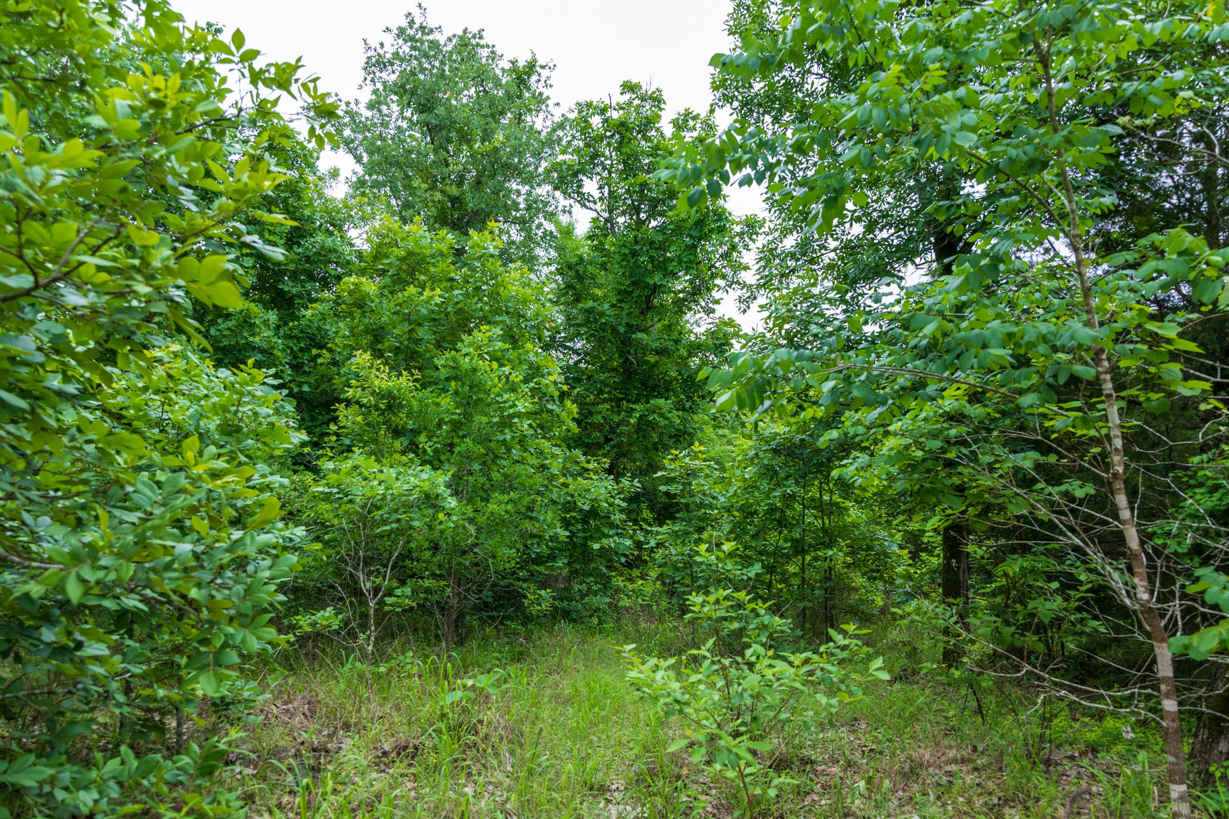 Falcon Crest Tract 9 photo 10