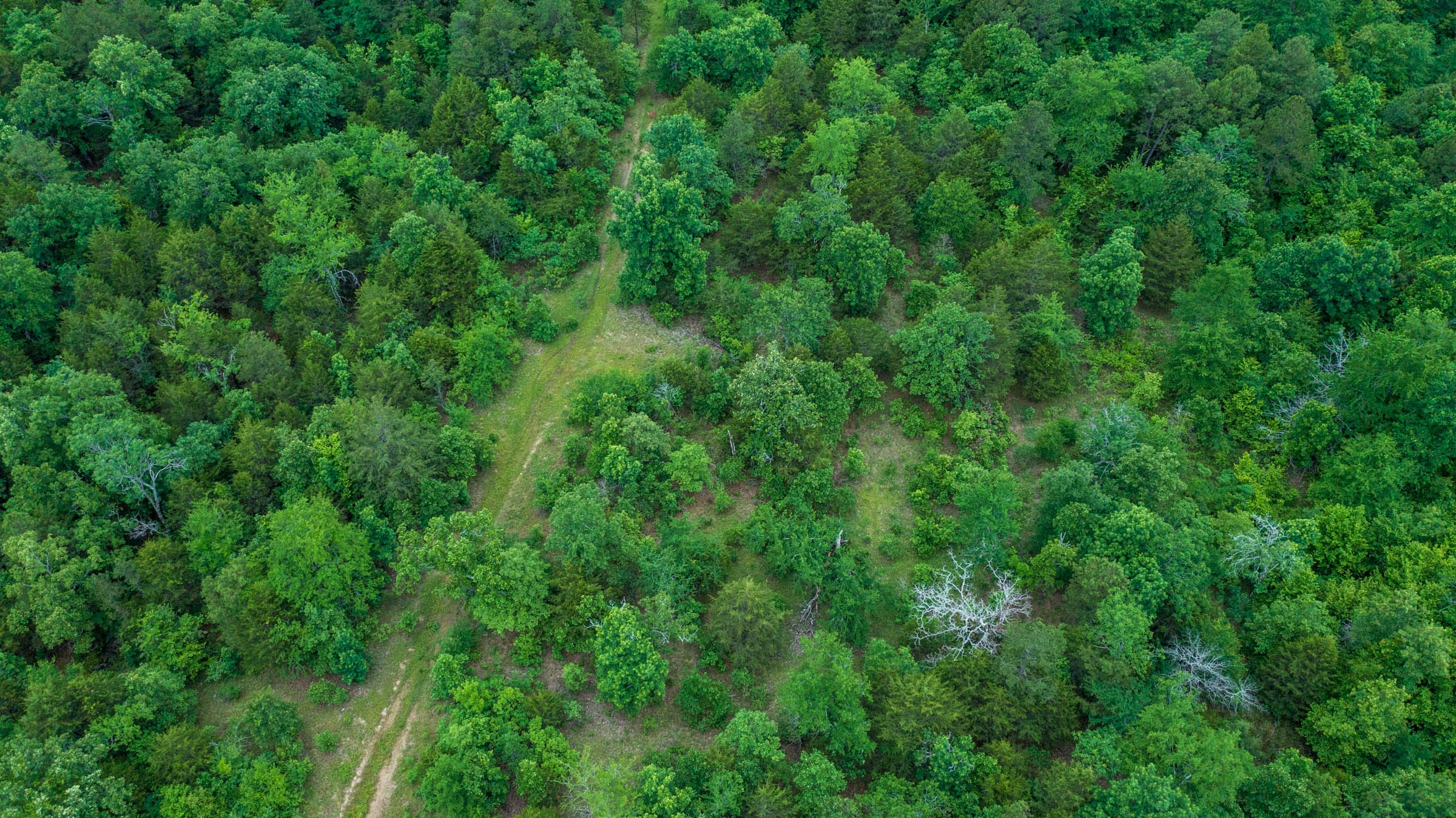 Falcon Crest Tract 9 photo 15