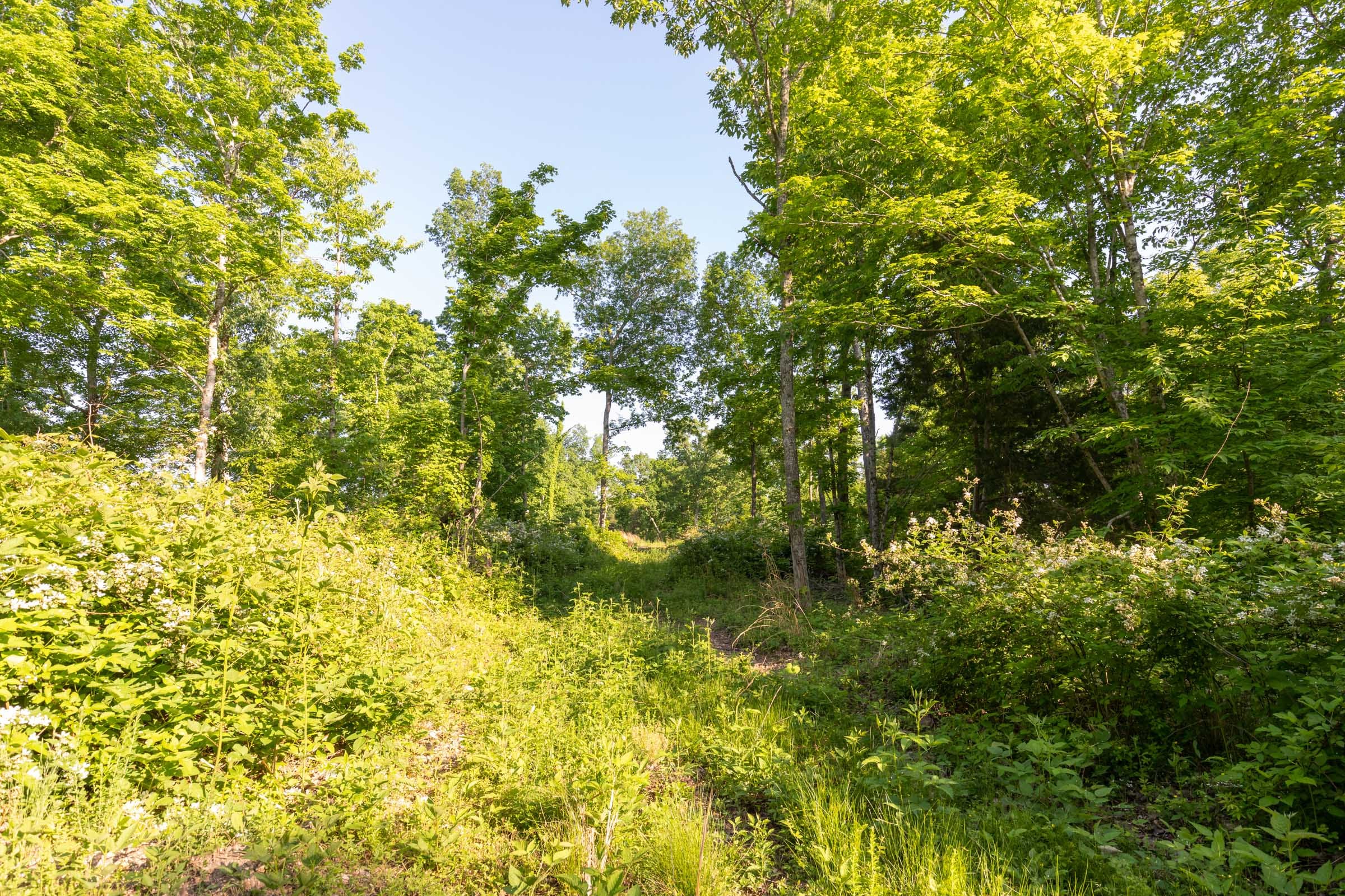 Cedar Creek Tract 53 photo 3