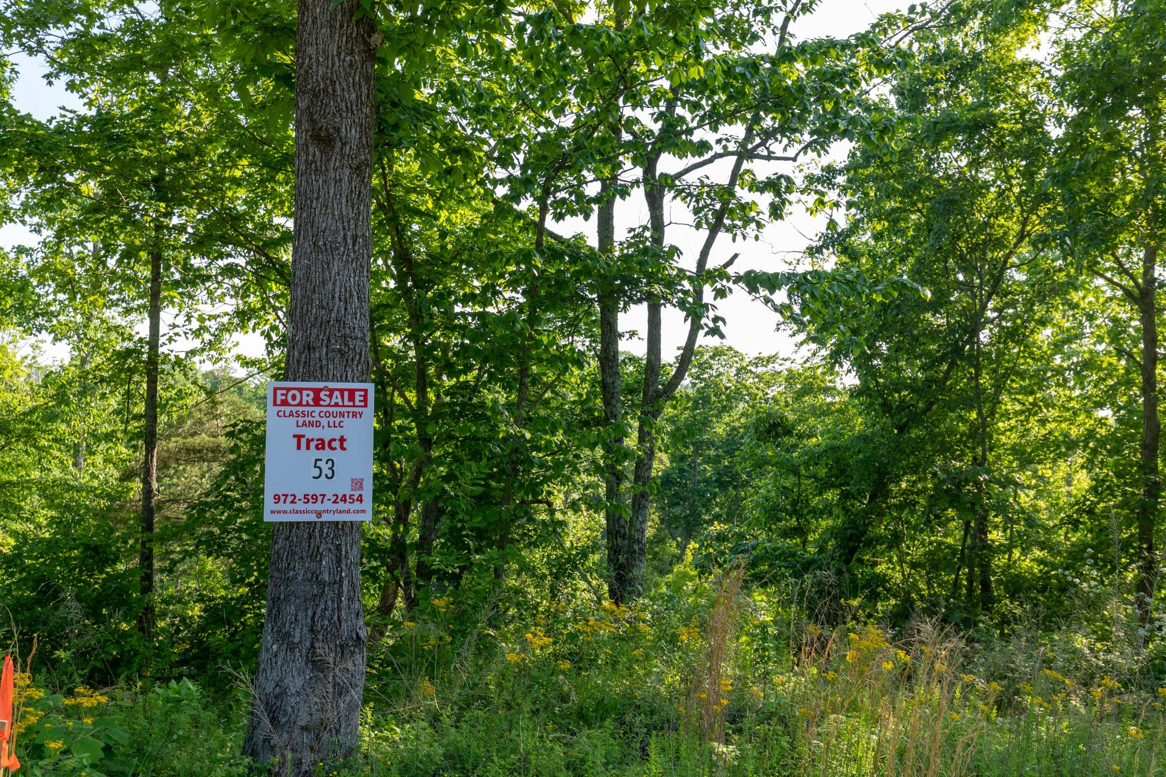 Cedar Creek Tract 53 photo 1