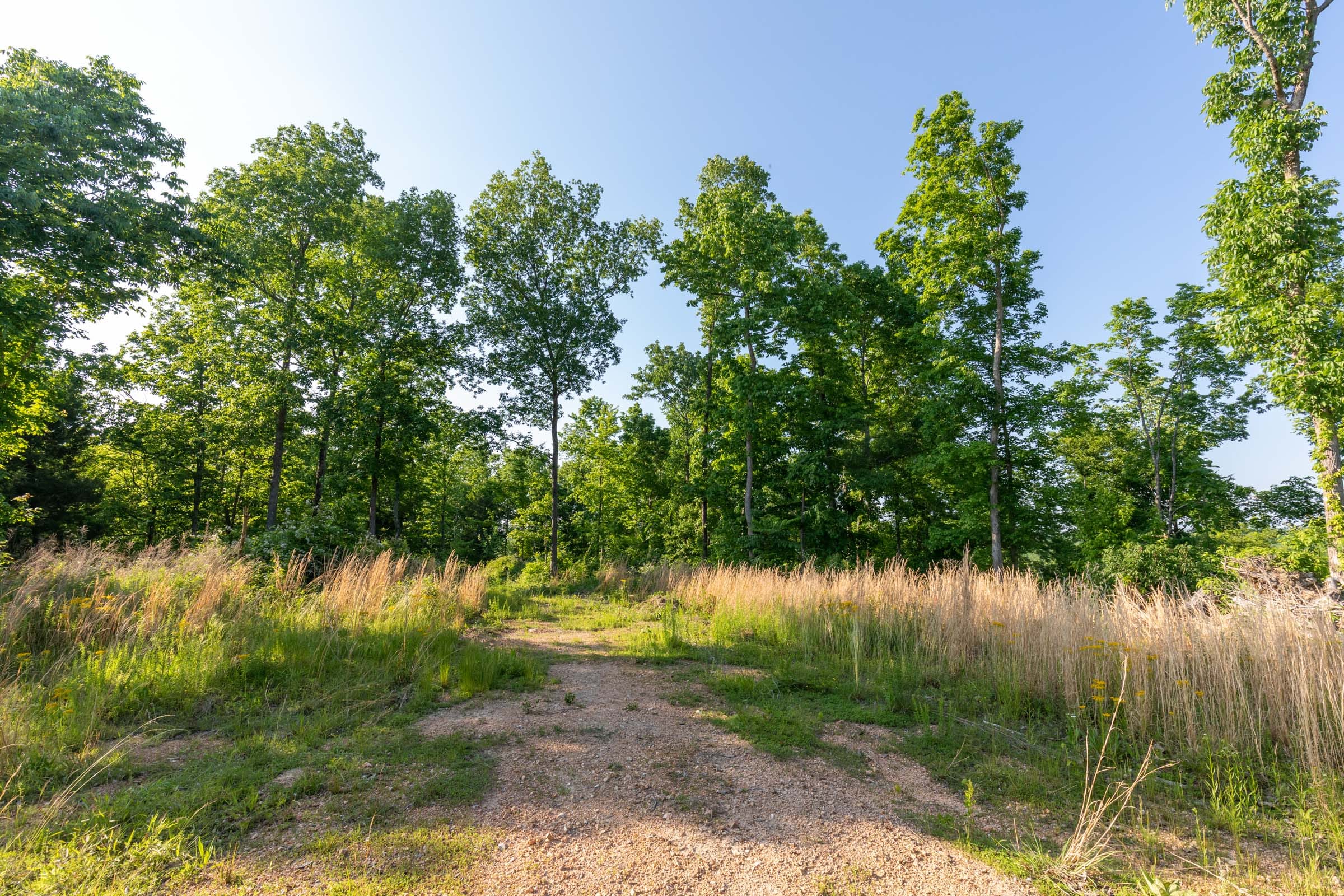 Cedar Creek Tract 53 photo 2
