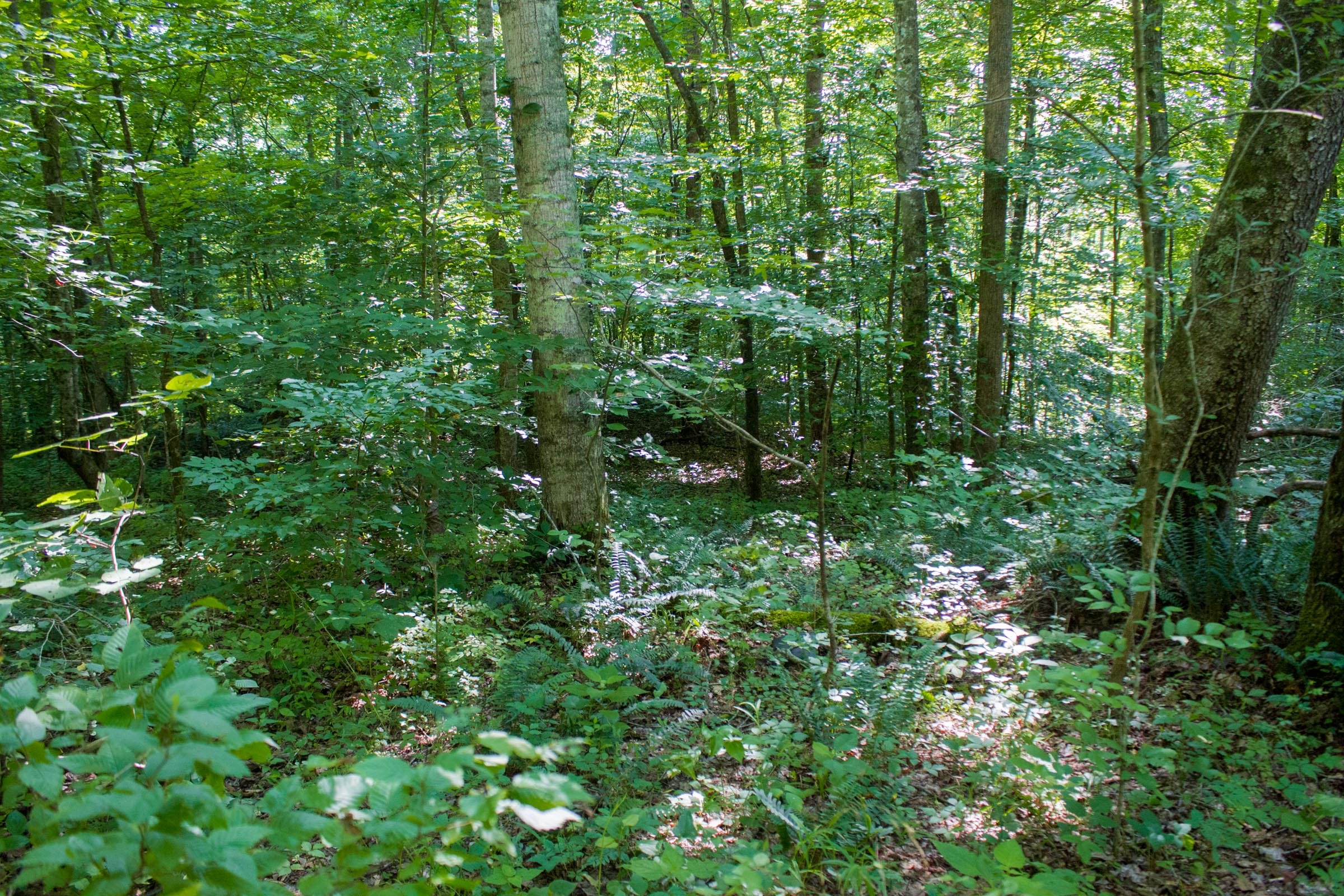 Bluewater Ridge Tract 18 photo 12