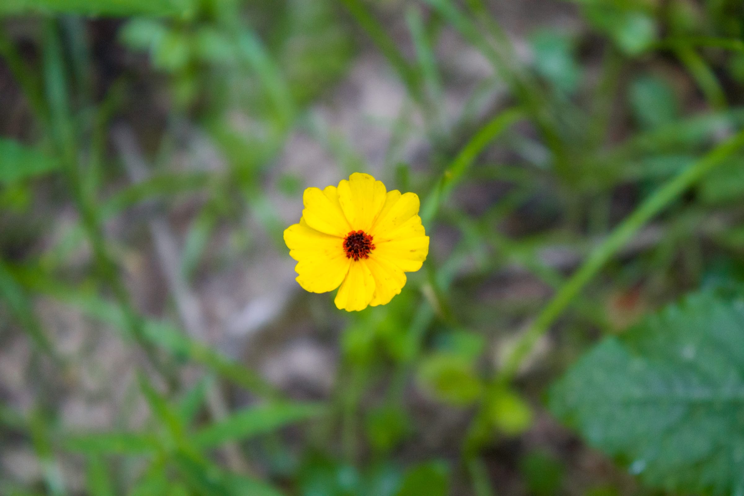 Bluewater Ridge Tract 18 photo 13