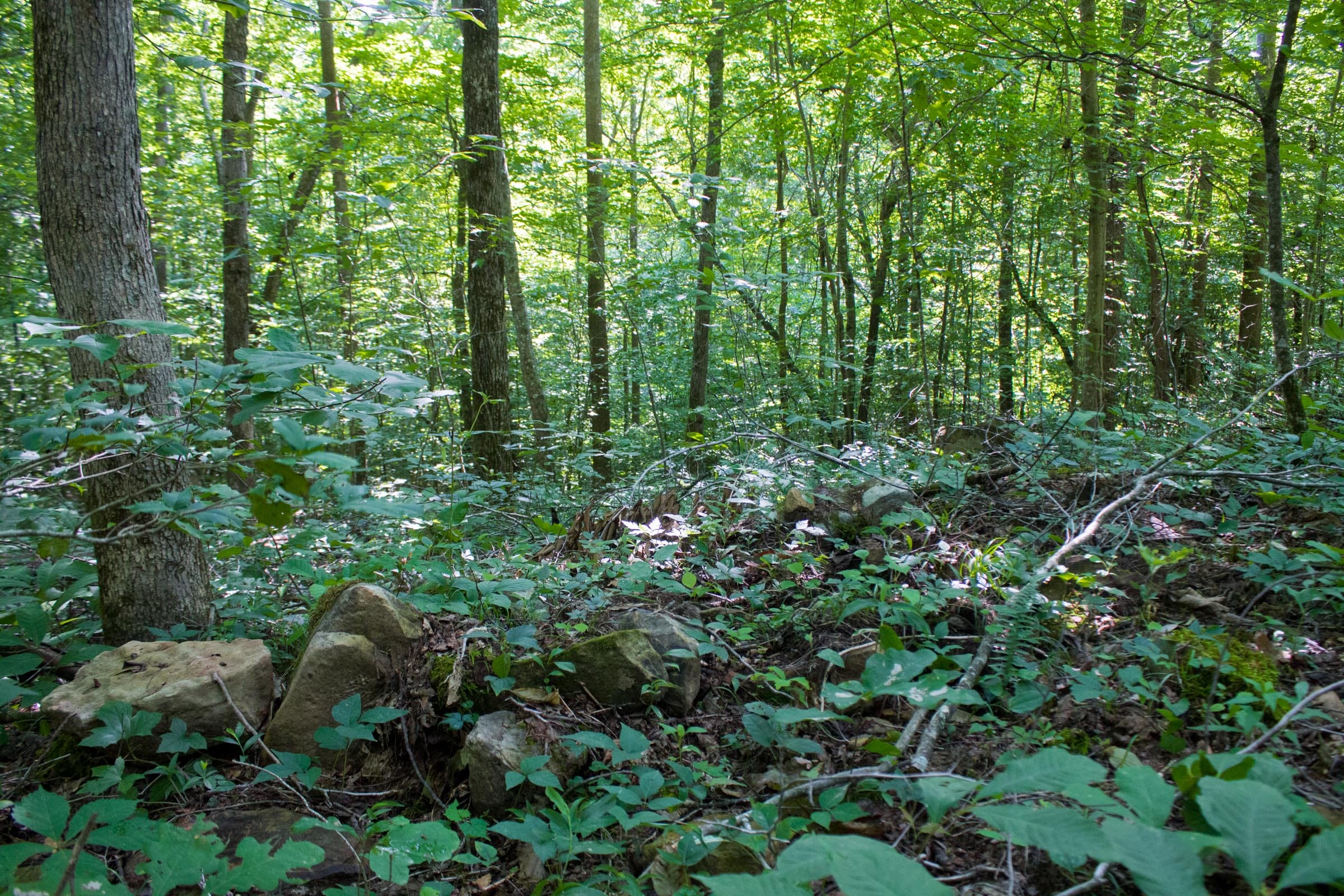 Bluewater Ridge Tract 18 photo 16