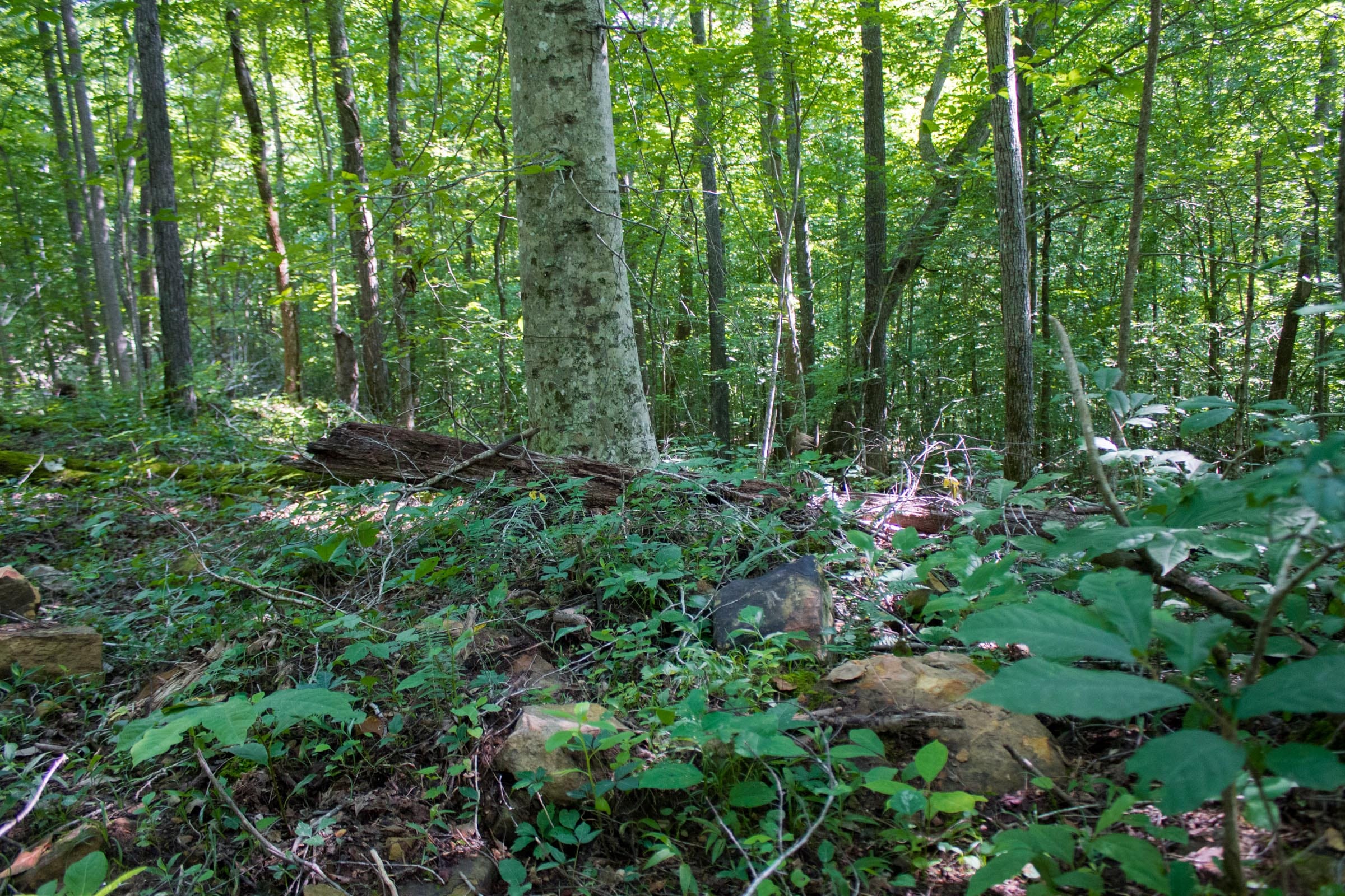 Bluewater Ridge Tract 18 photo 17