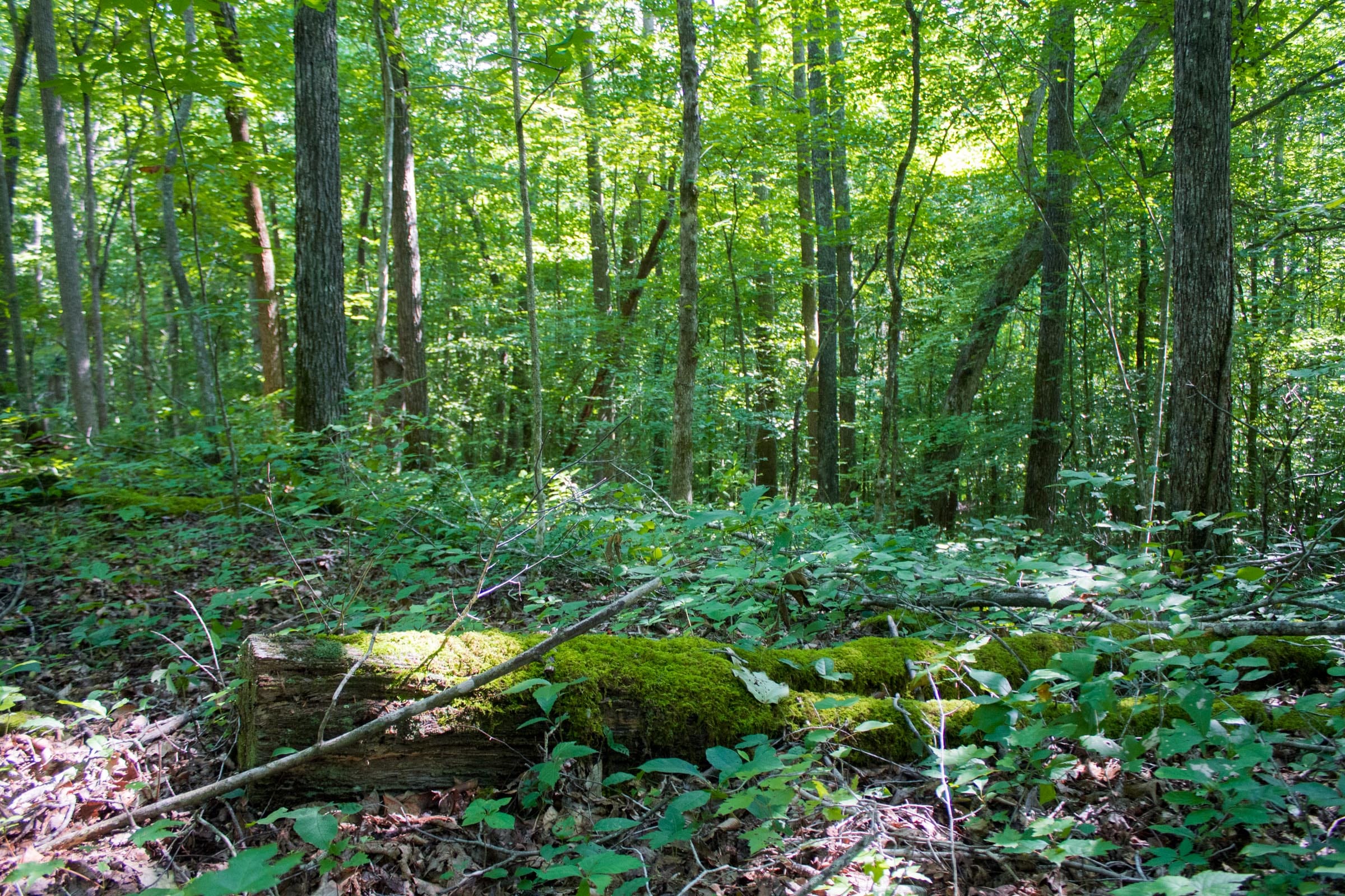 Bluewater Ridge Tract 18 photo 18