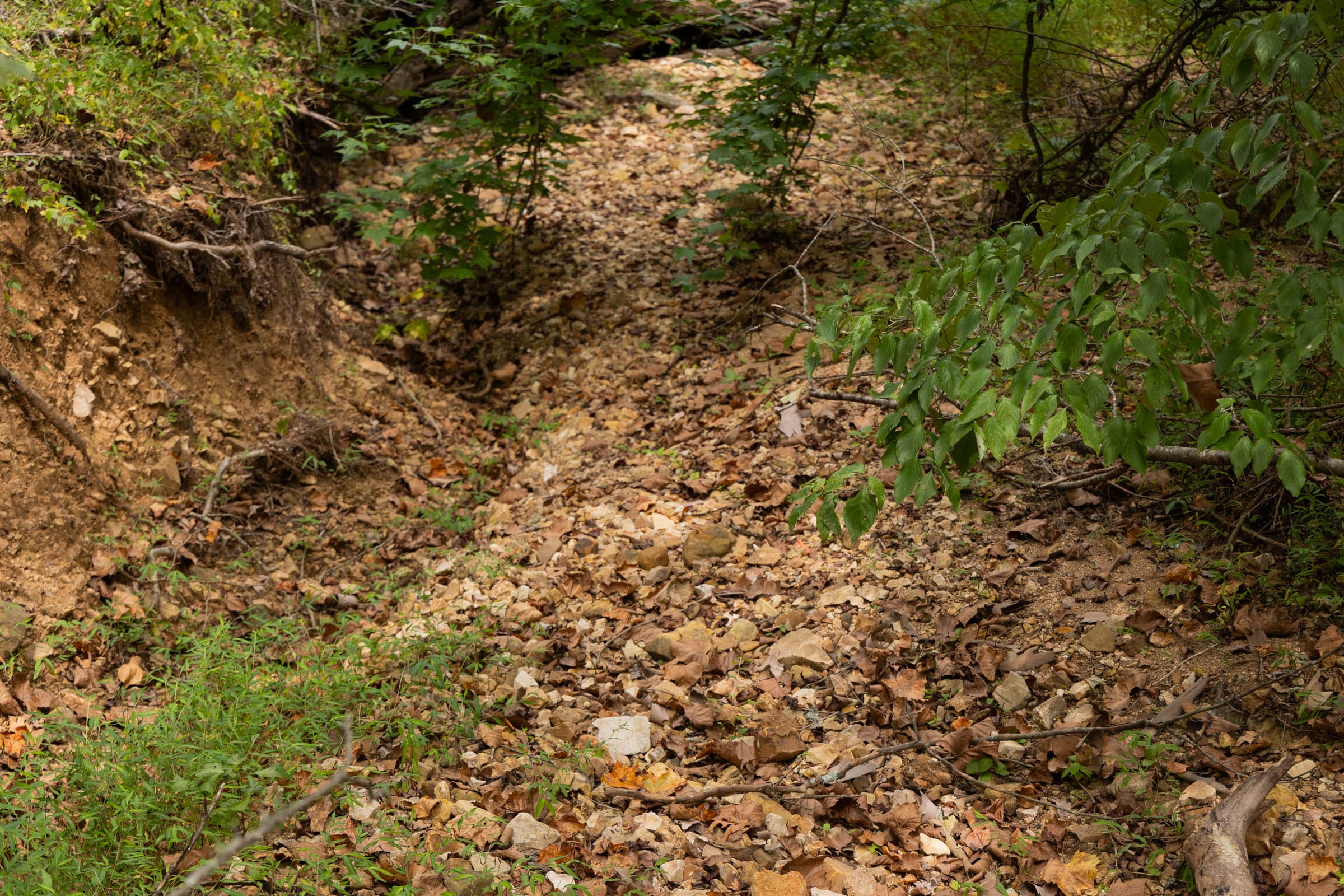Big White Oak Tract 95 photo 14