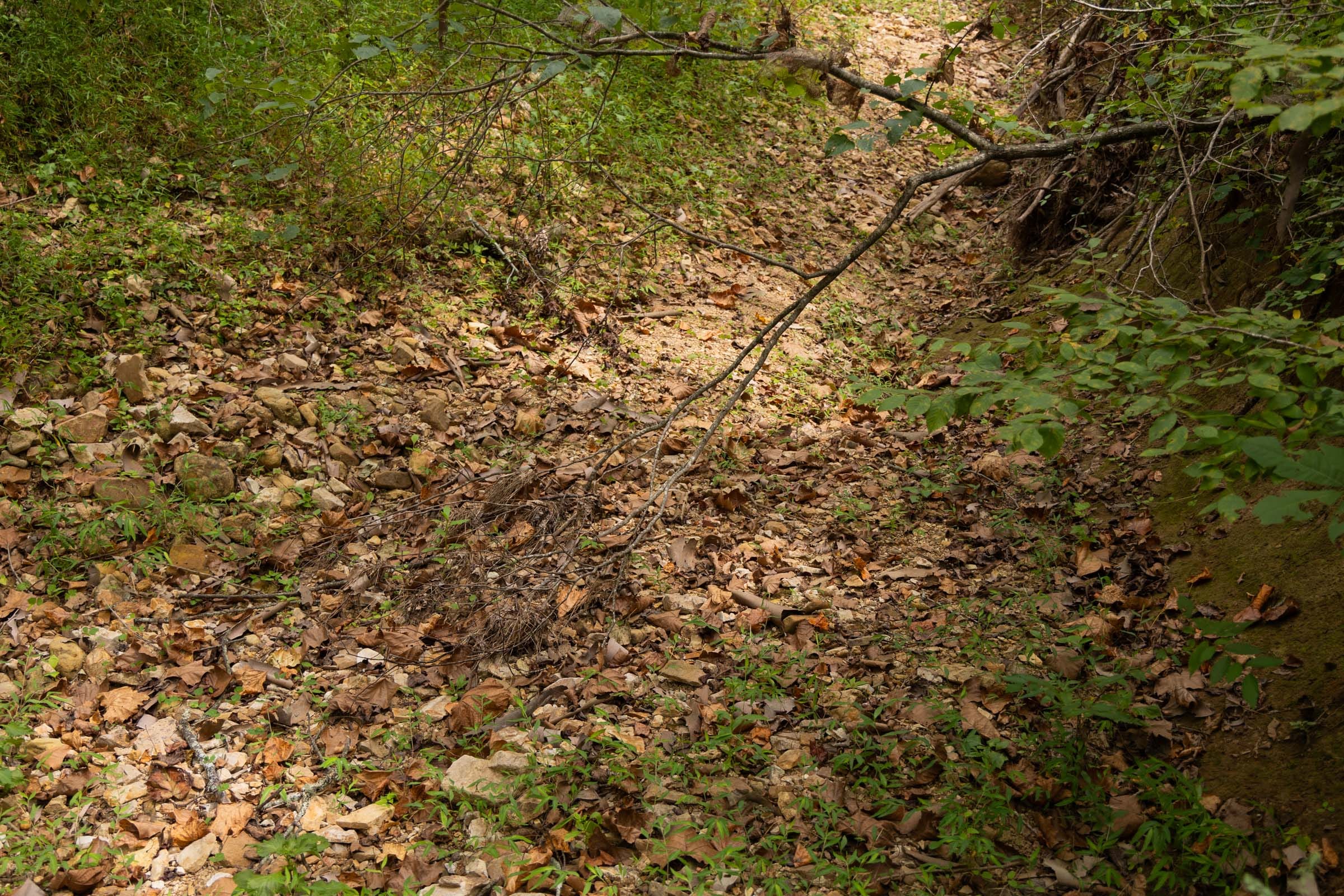 Big White Oak Tract 95 photo 12