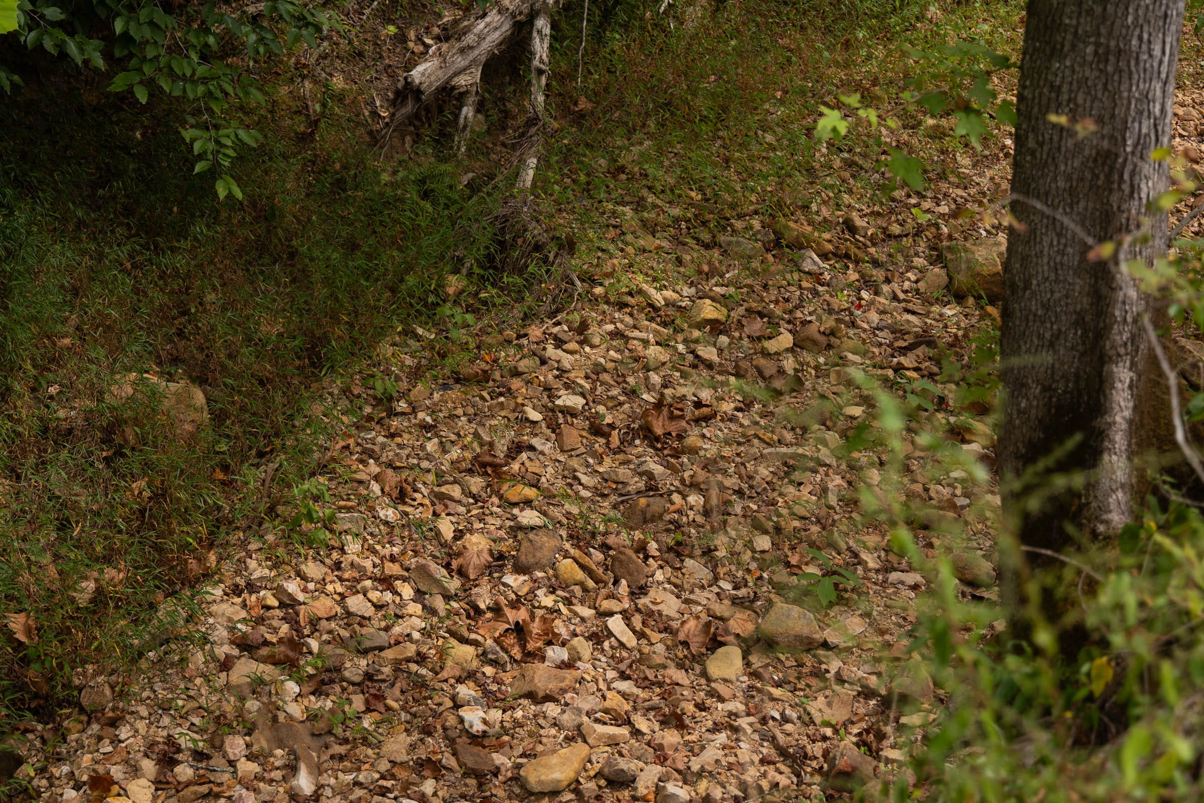 Big White Oak Tract 95 photo 10