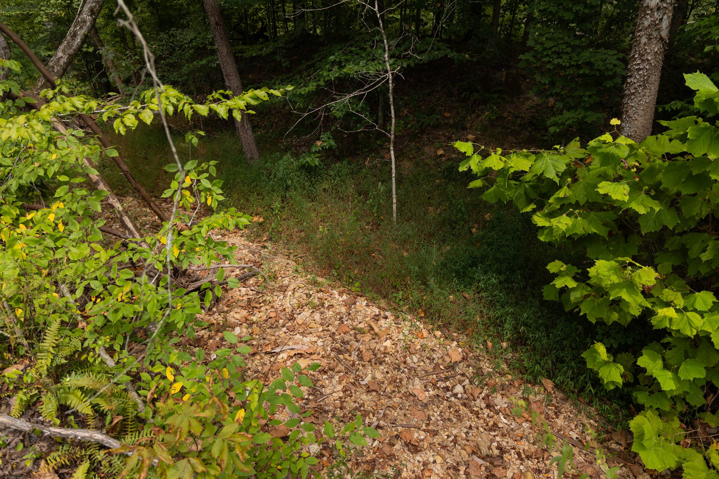 Big White Oak Tract 95 photo 3