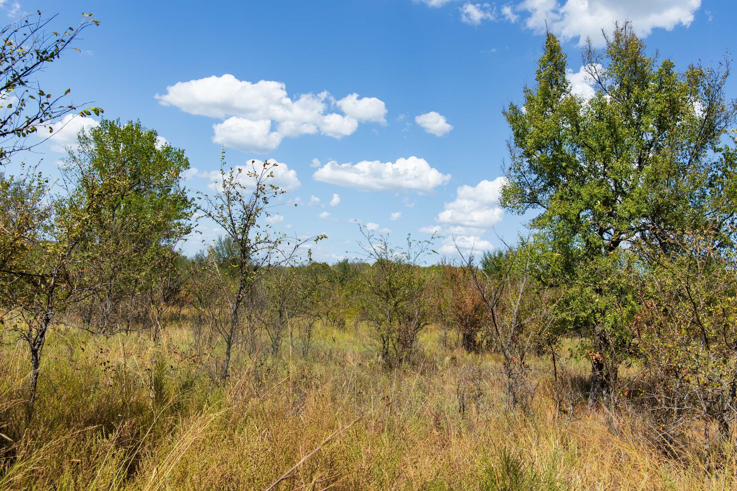 Gracyn Meadows Tract 13 photo 14