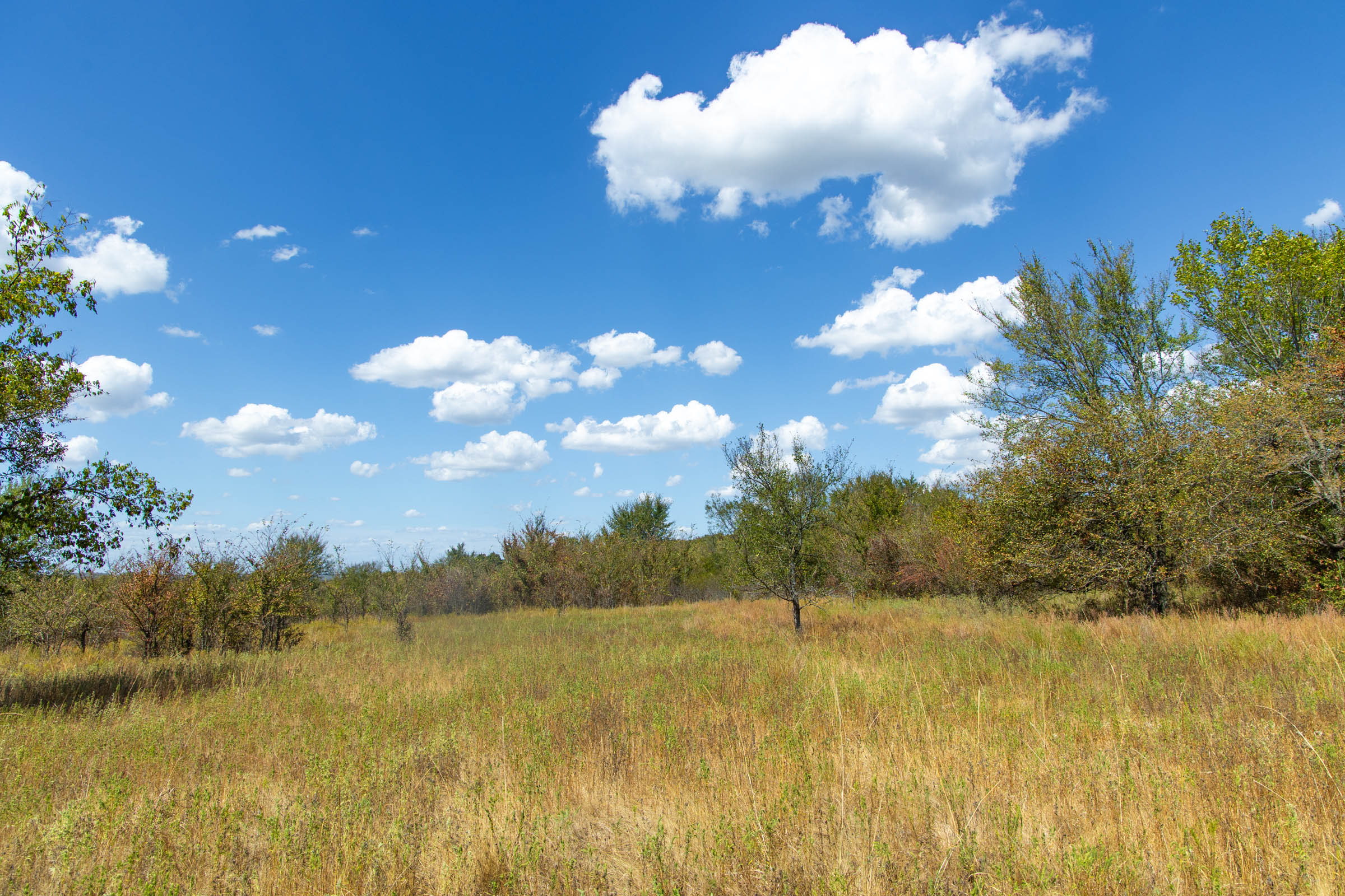 Gracyn Meadows Tract 13 photo 17