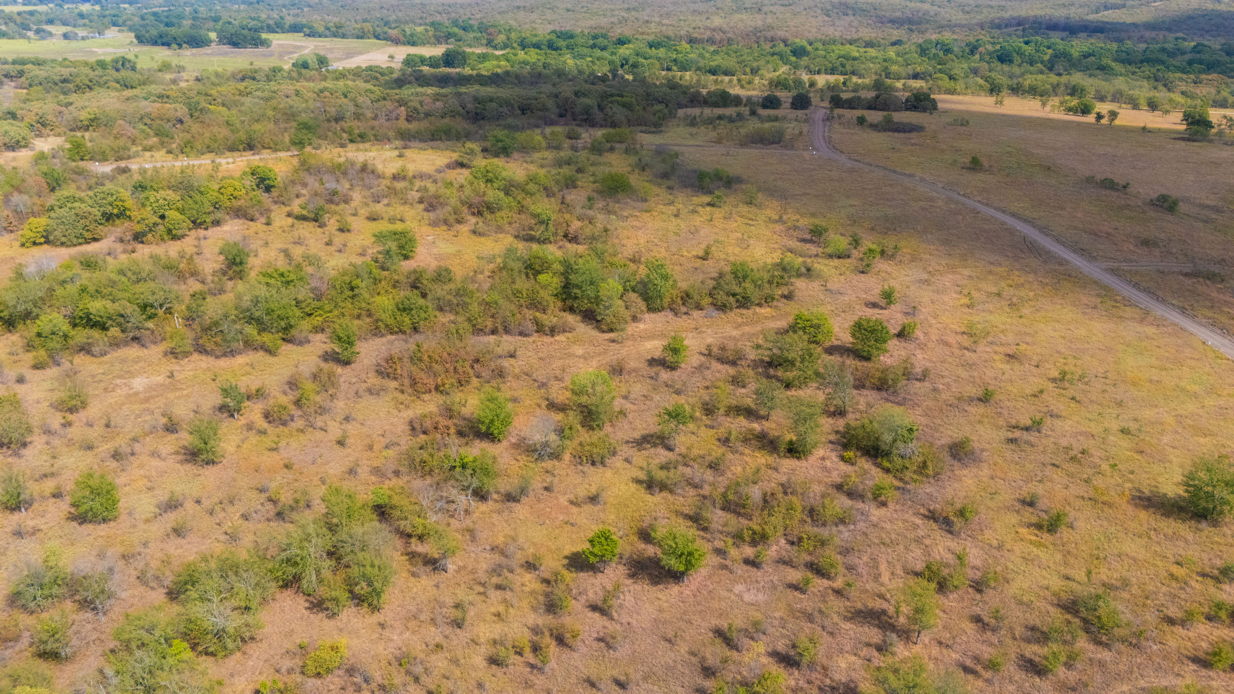 Gracyn Meadows Tract 13 photo 11