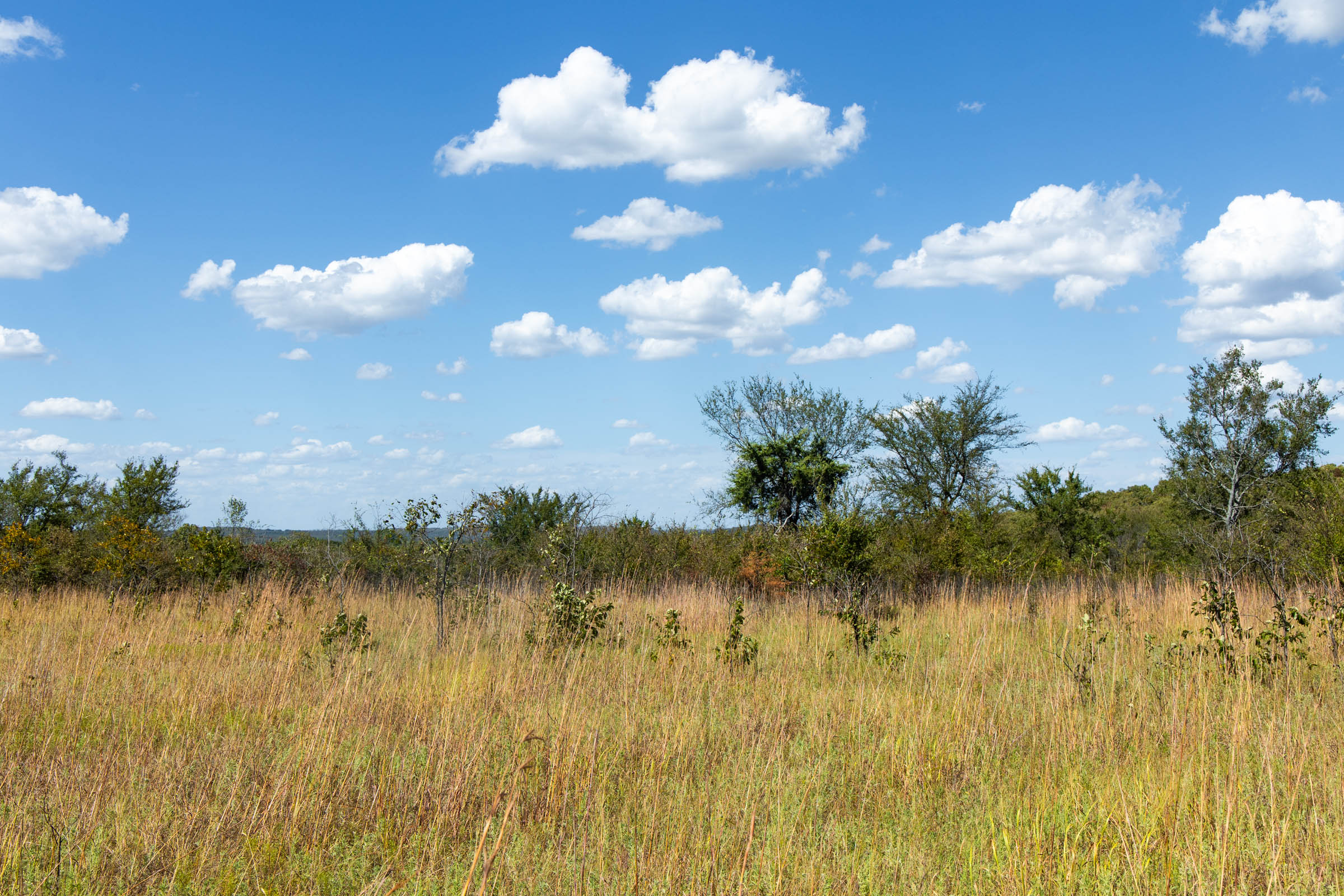 Gracyn Meadows Tract 13 photo 6