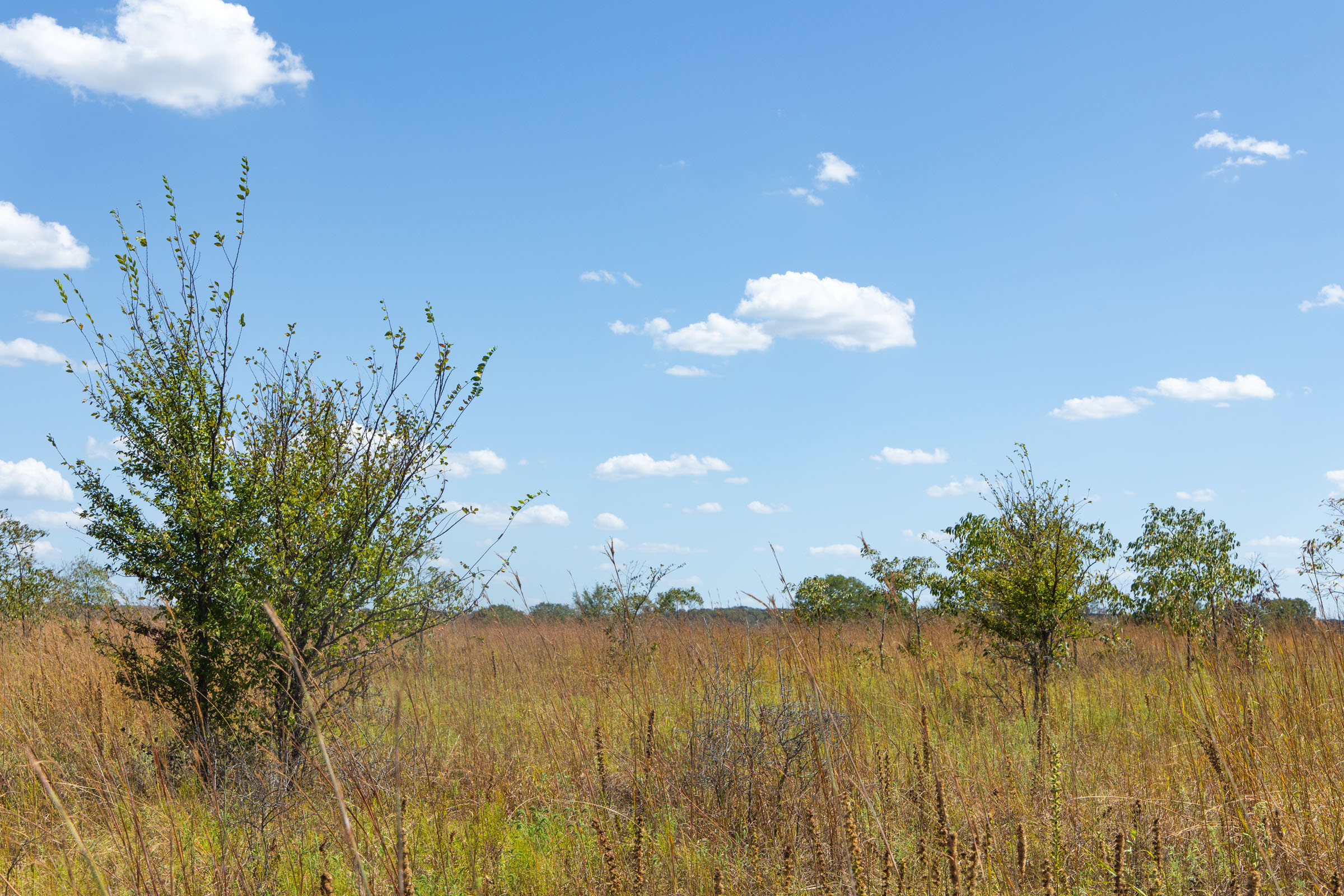 Gracyn Meadows Tract 13 photo 9