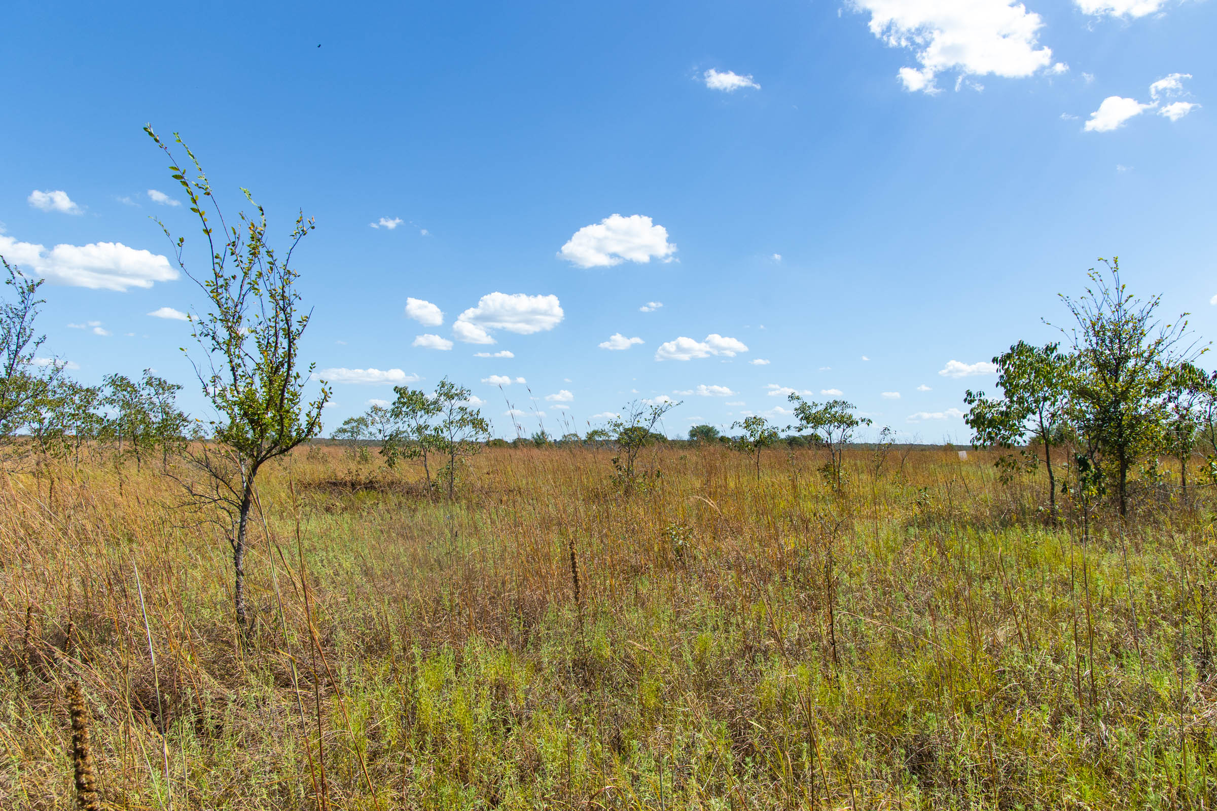 Gracyn Meadows Tract 13 photo 8