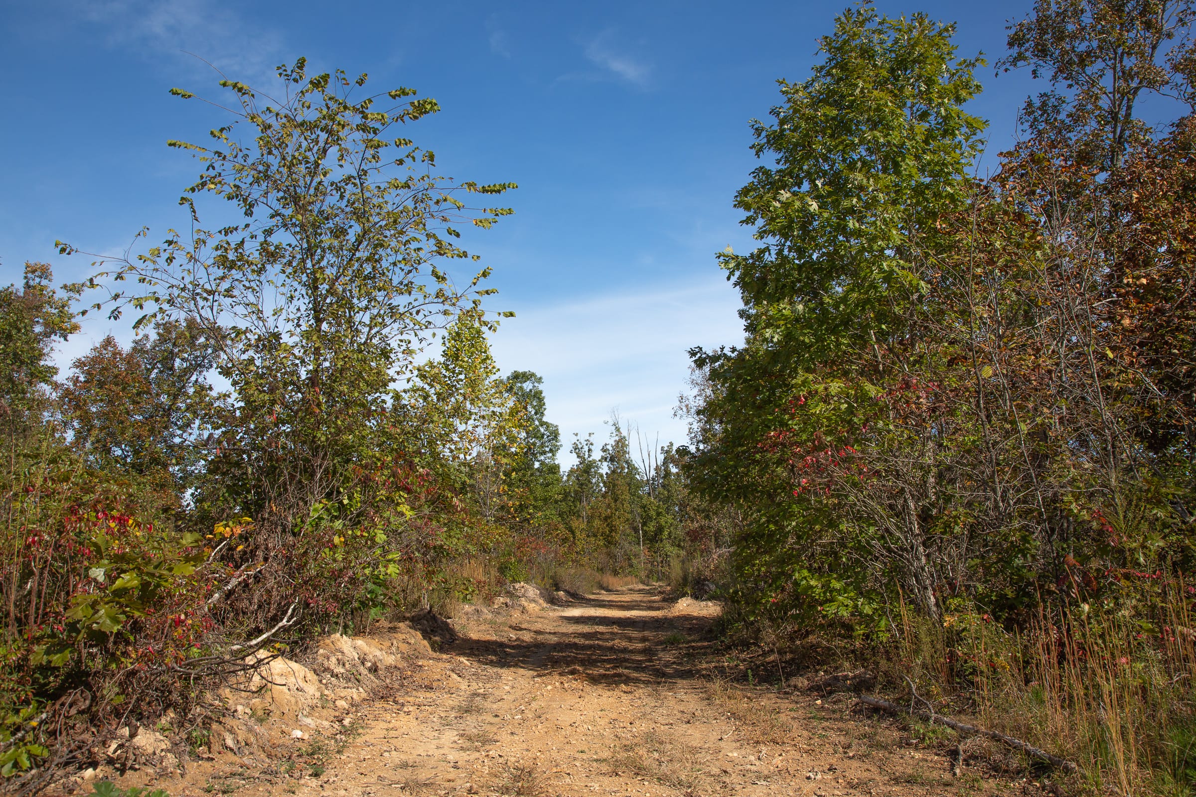 Borgmann’s Hollow Phase IV Tract 130 photo 6