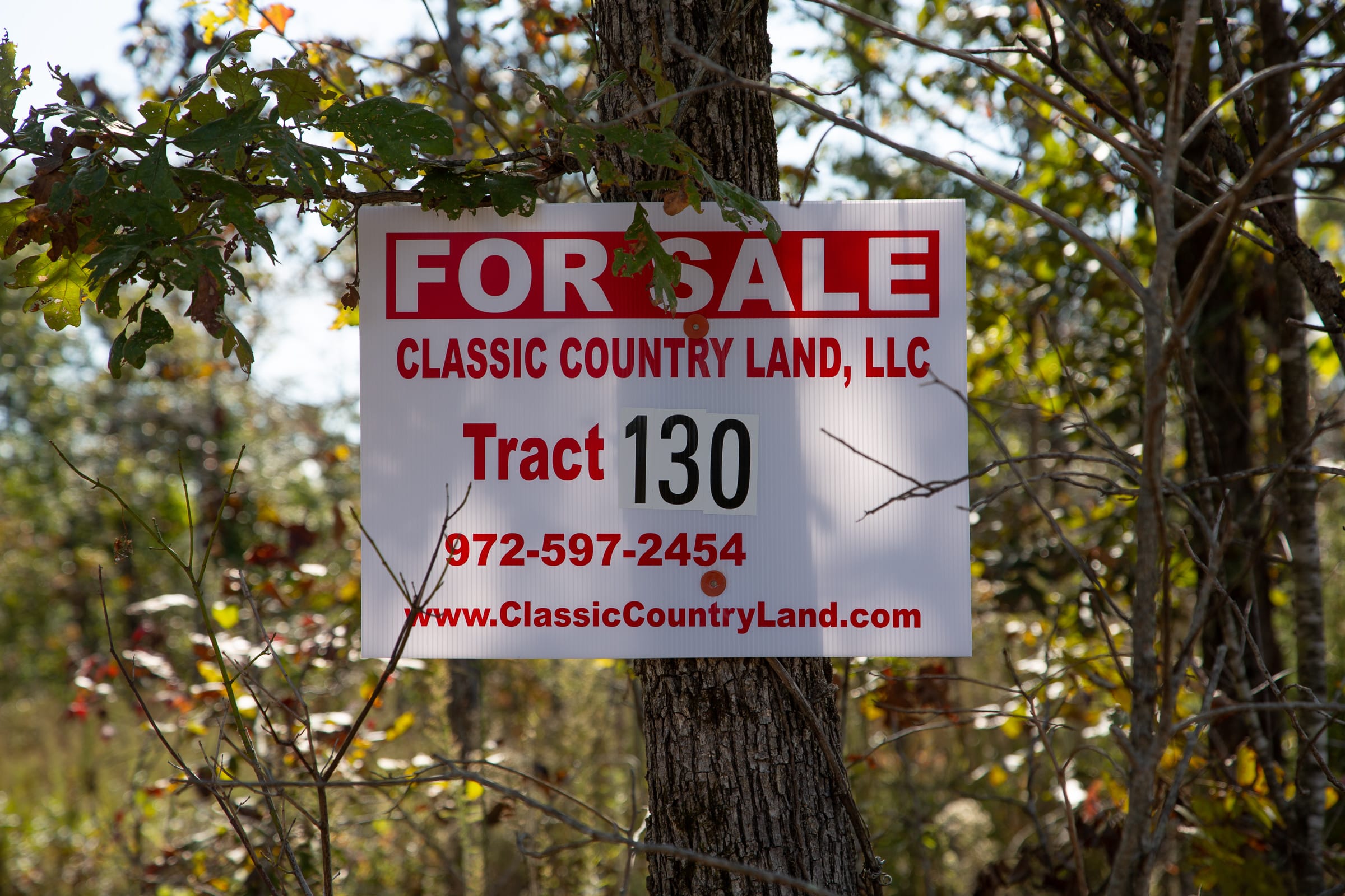 Borgmann’s Hollow Phase IV Tract 130 photo 2