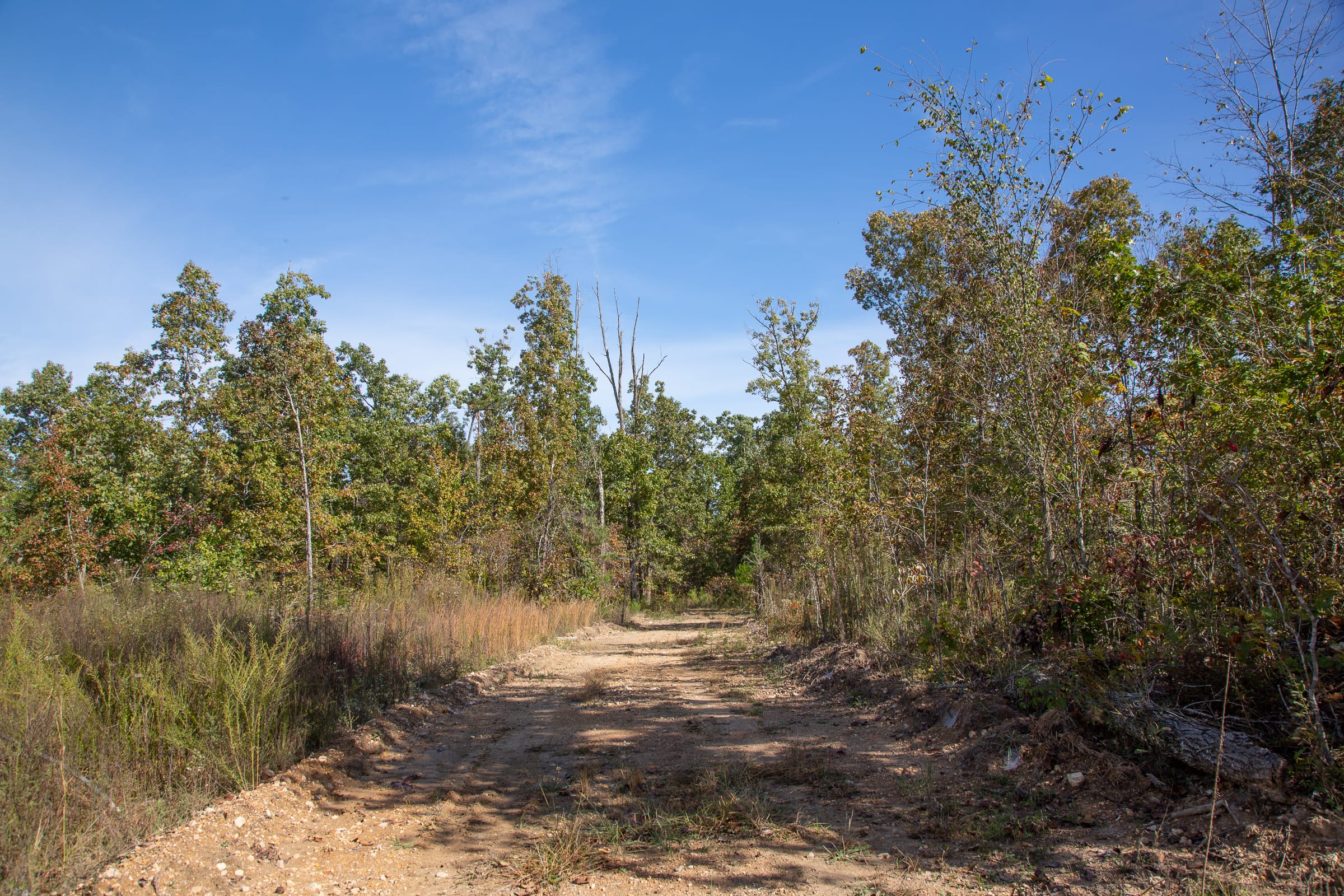 Borgmann’s Hollow Phase IV Tract 130 photo 1