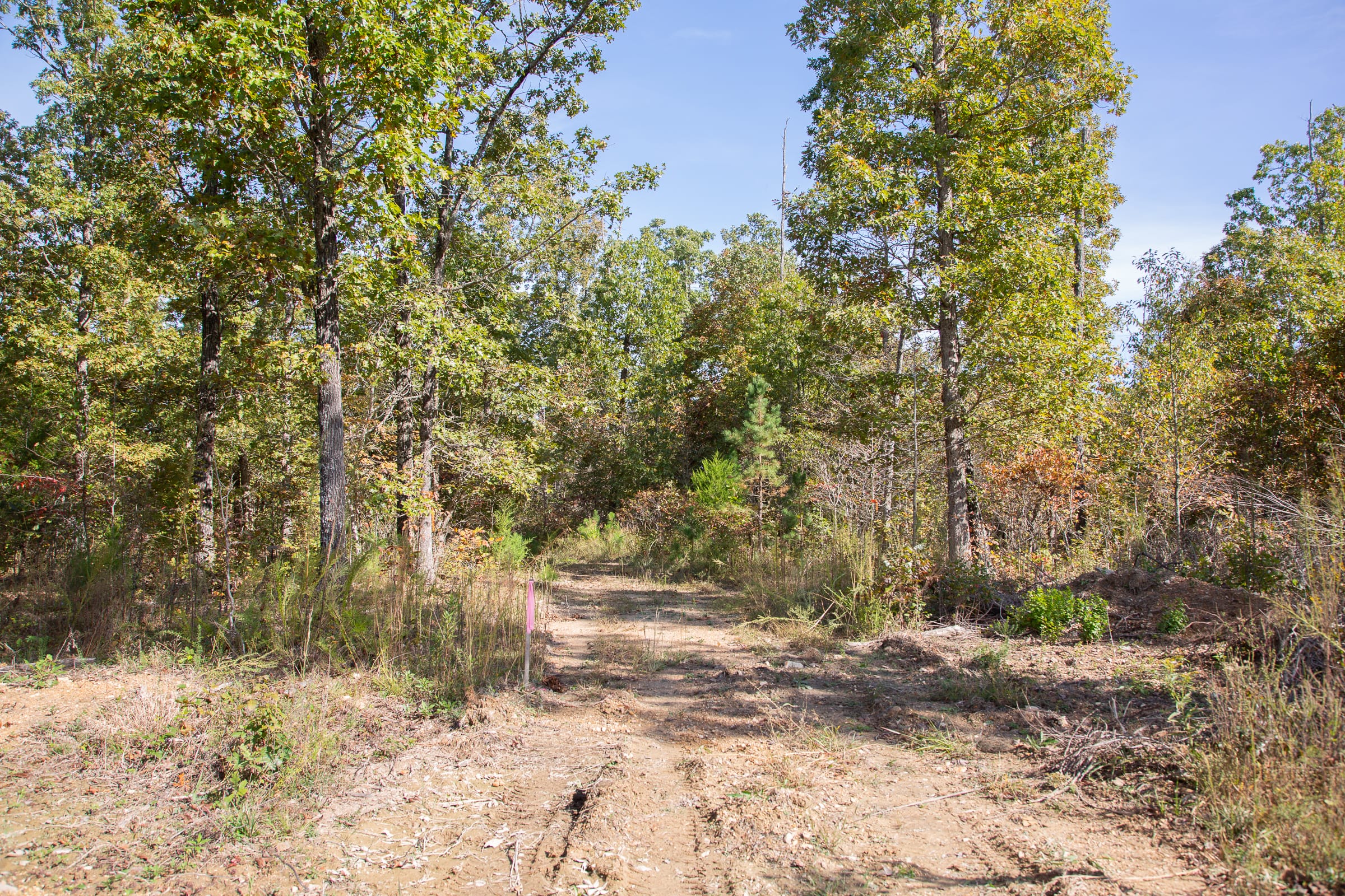 Borgmann’s Hollow Phase IV Tract 130 photo 15