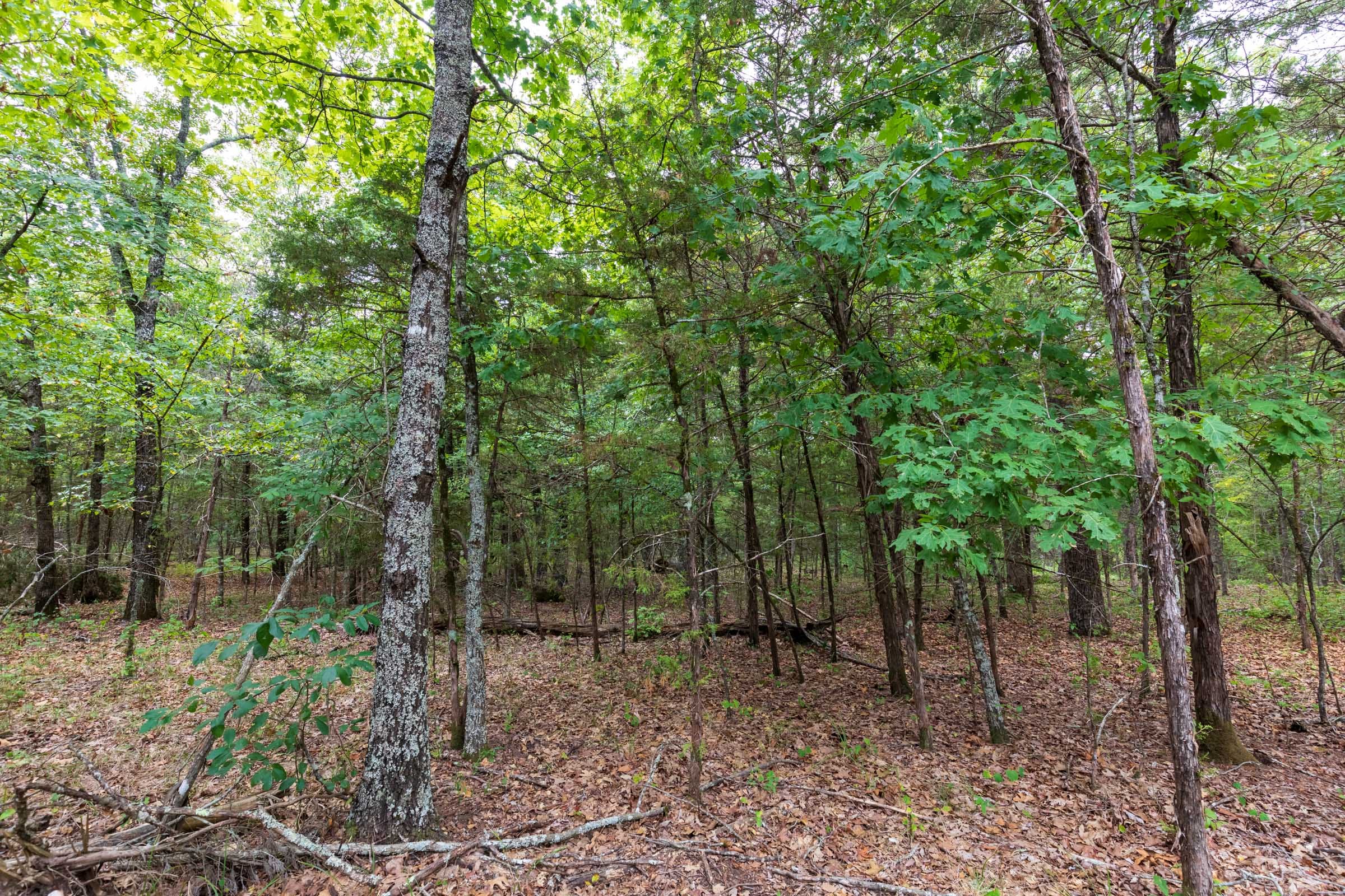 Heritage Bend Tract 36 photo 4