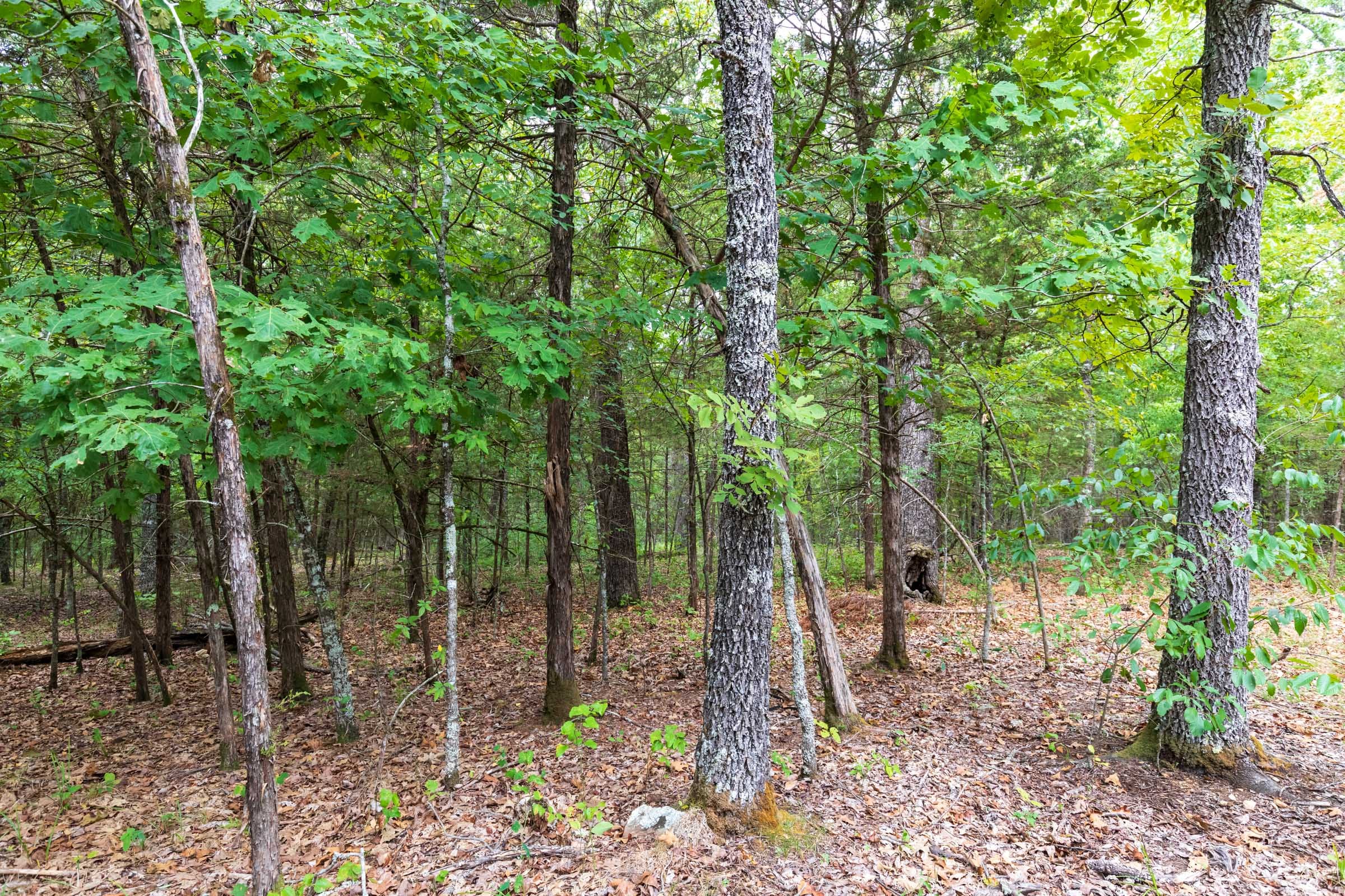 Heritage Bend Tract 36 photo 7