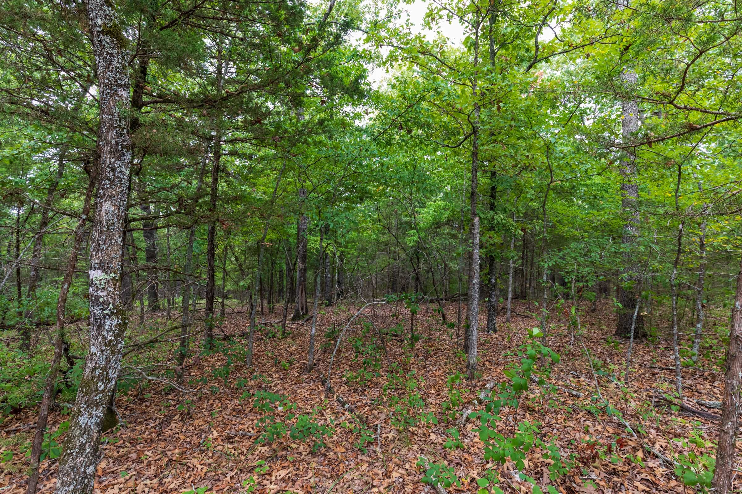 Heritage Bend Tract 36 photo 3