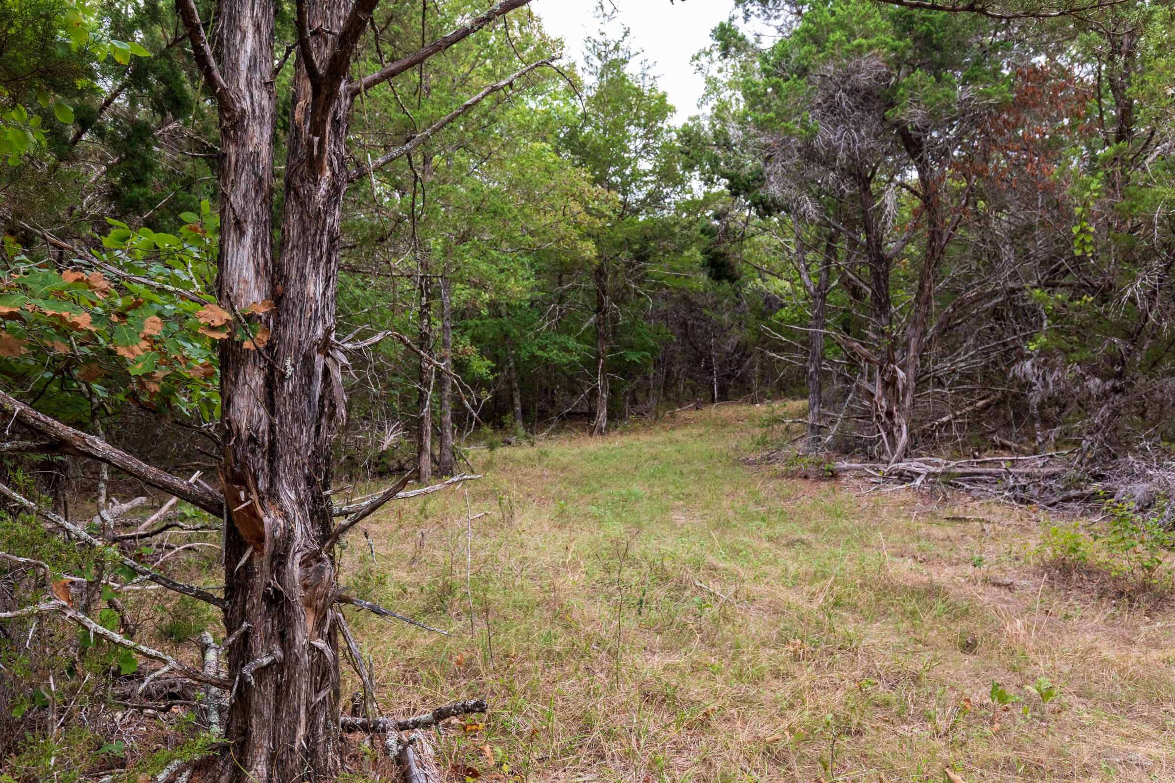 Heritage Bend Tract 36 photo 5