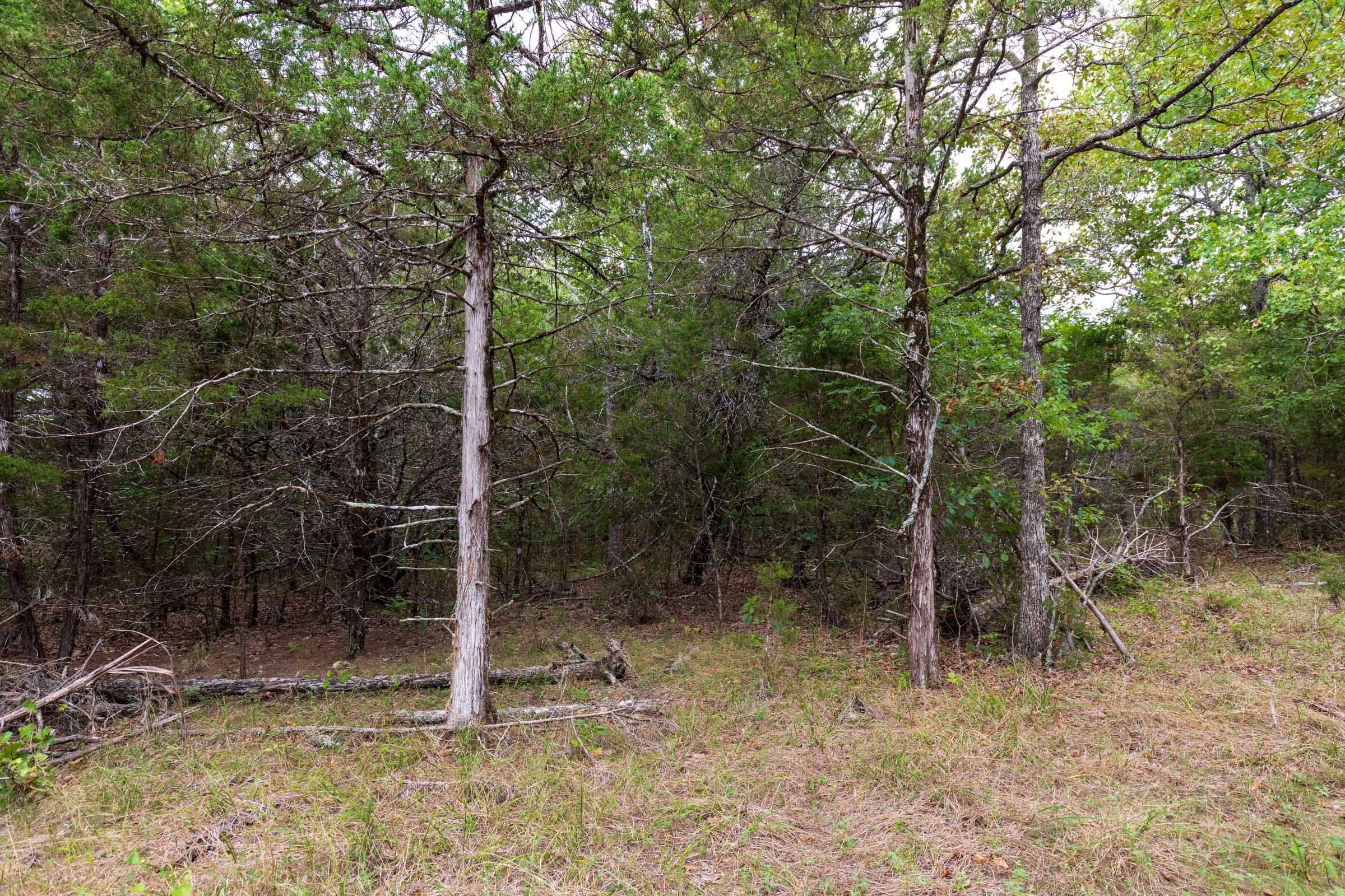 Heritage Bend Tract 36 photo 6