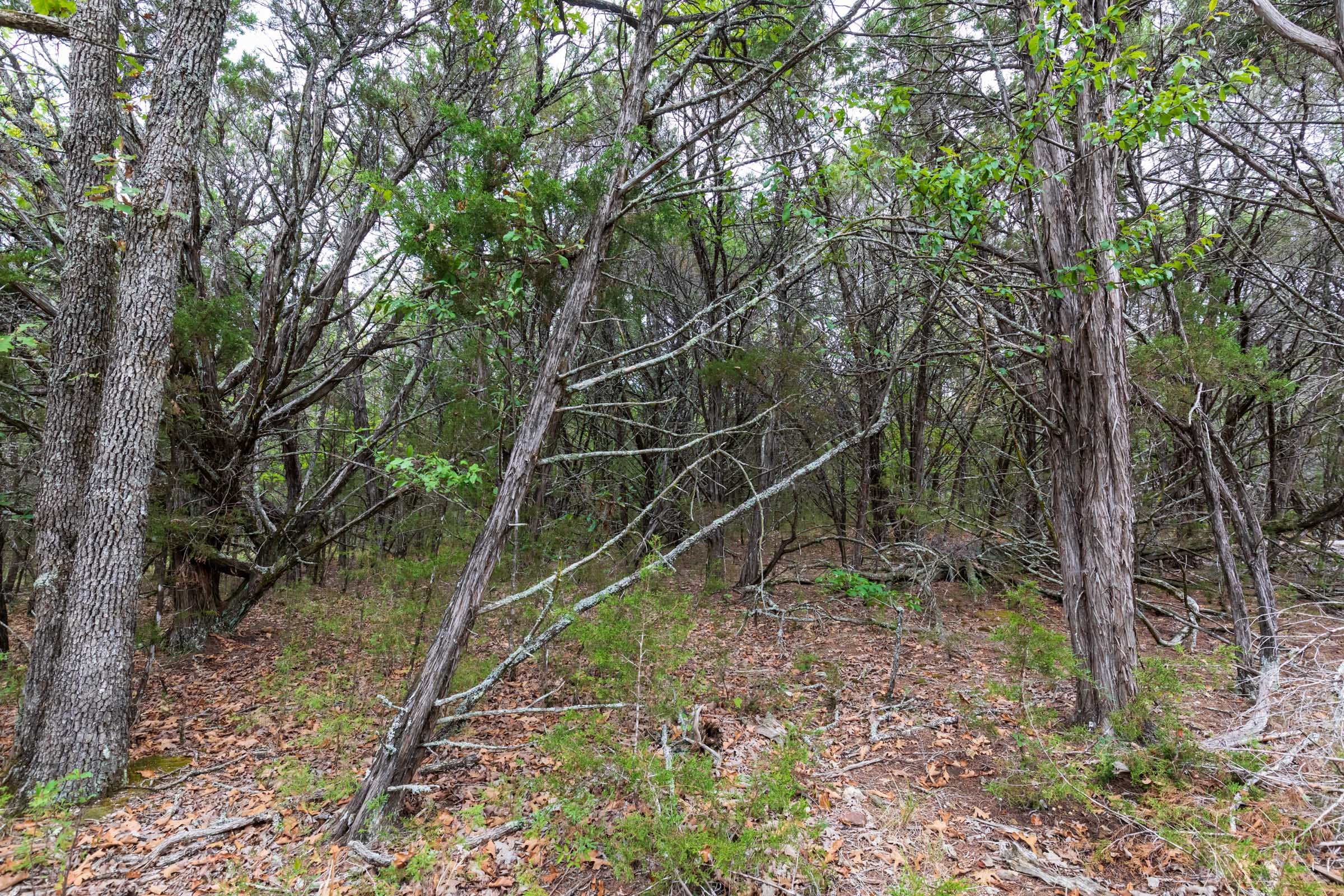 Heritage Bend Tract 36 photo 8