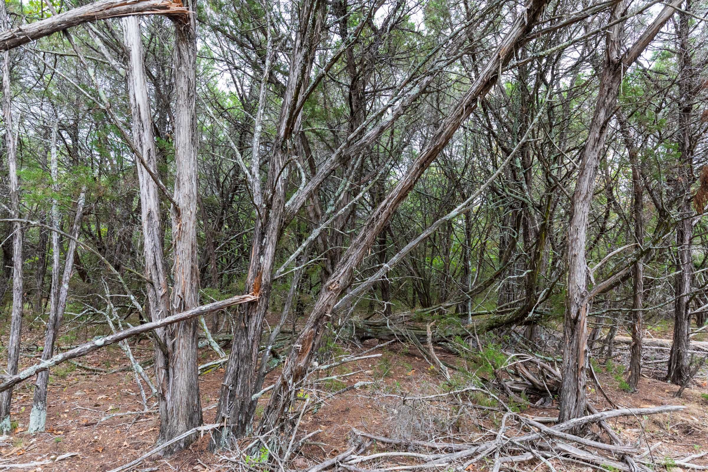 Heritage Bend Tract 36 photo 10