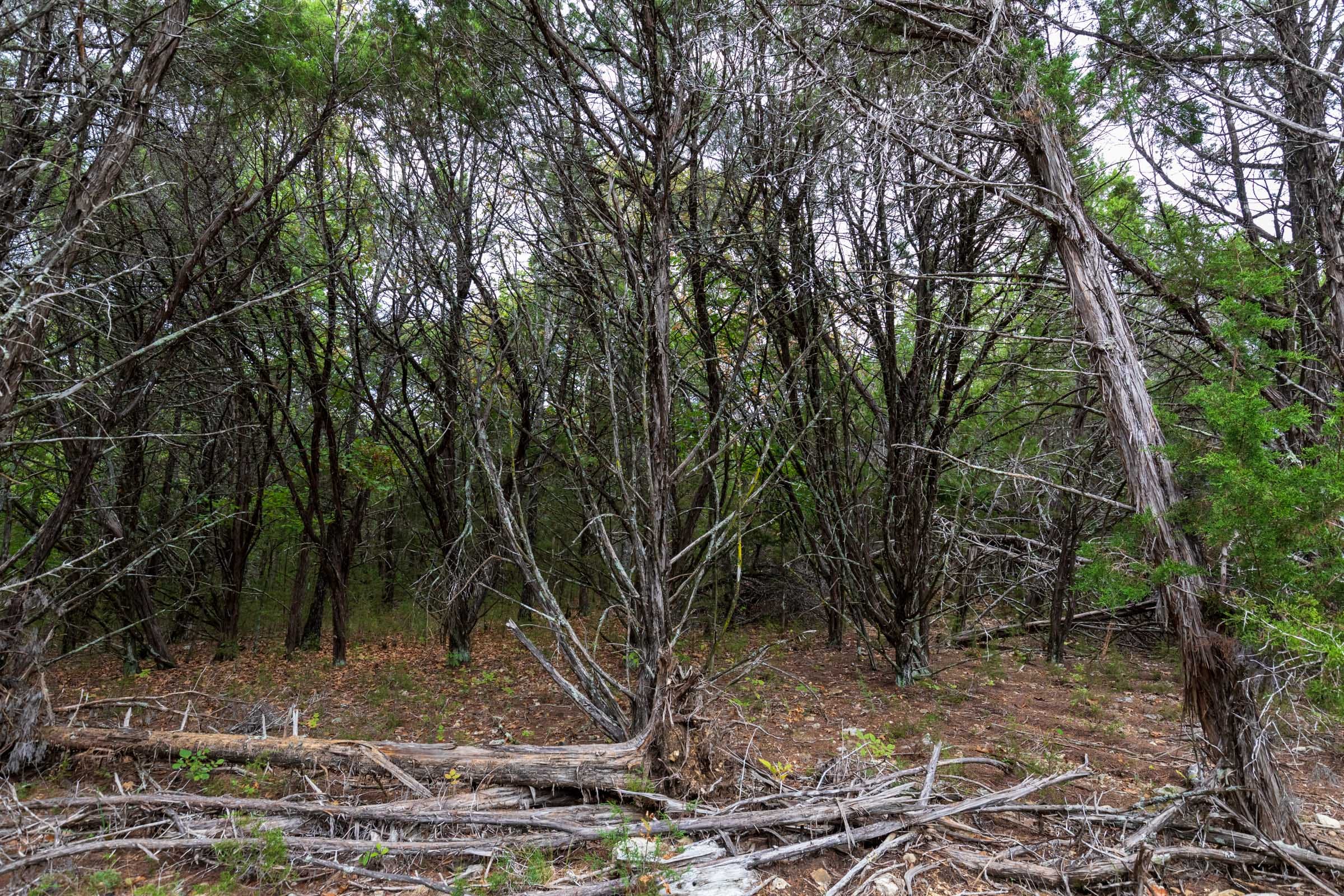 Heritage Bend Tract 36 photo 14