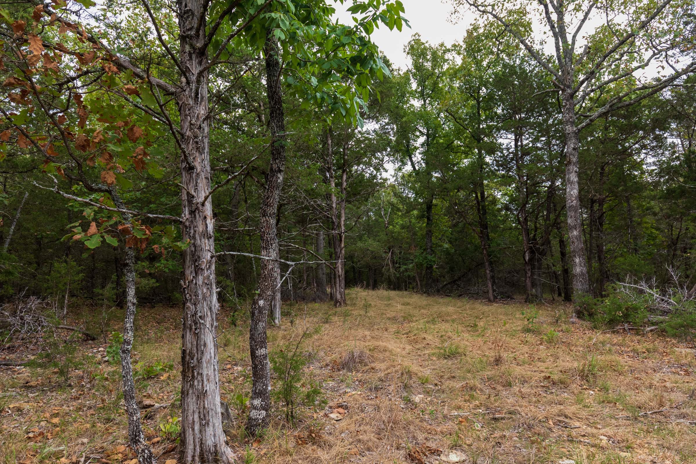 Heritage Bend Tract 36 photo 9