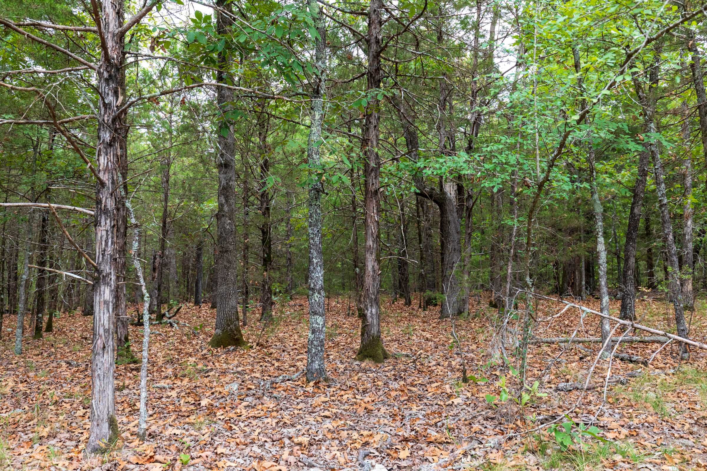 Heritage Bend Tract 36 photo 11