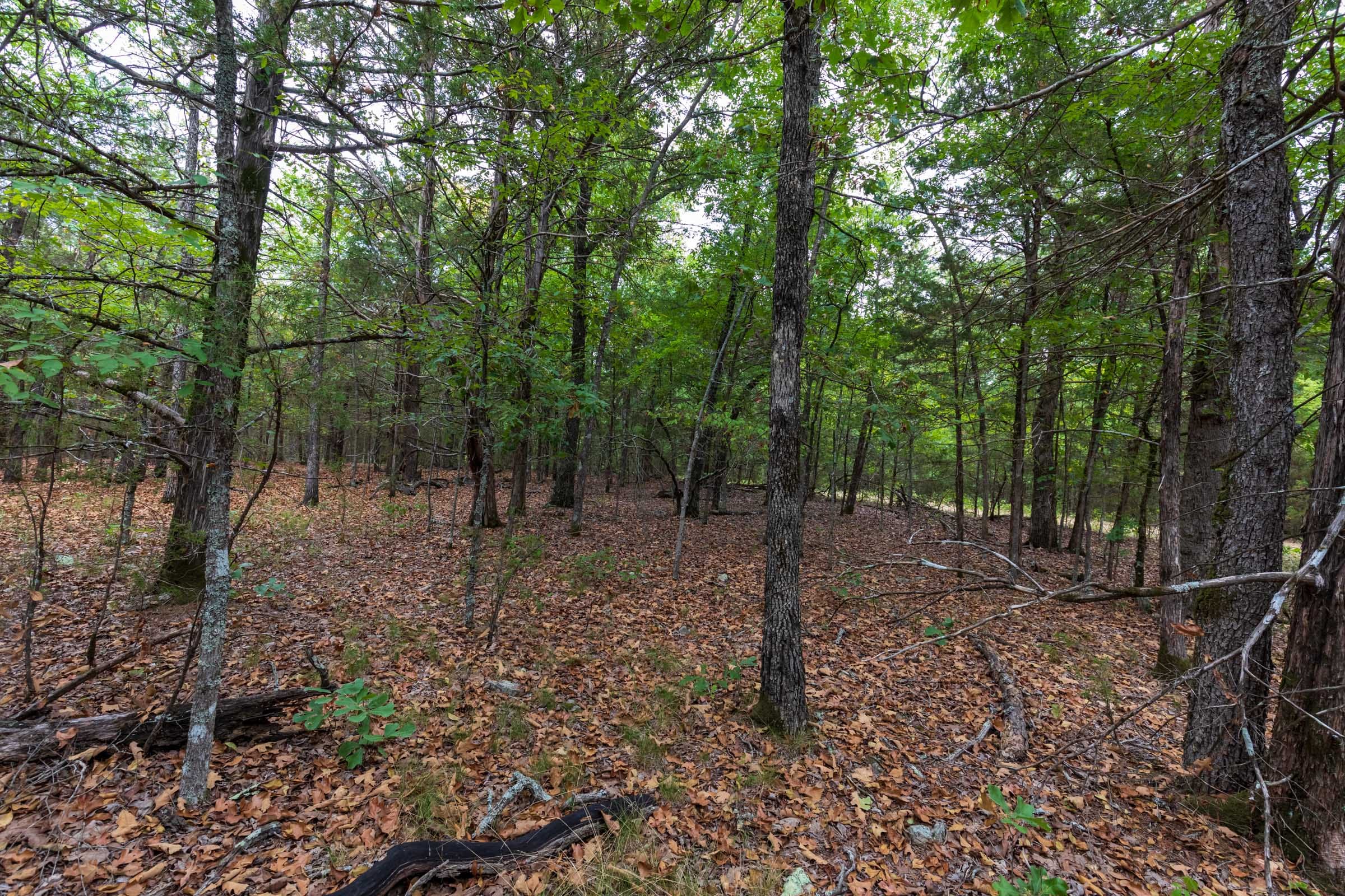 Heritage Bend Tract 36 photo 15