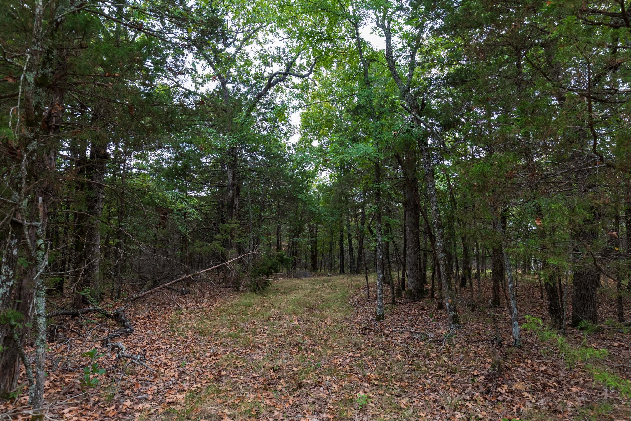 Heritage Bend Tract 36 photo 13