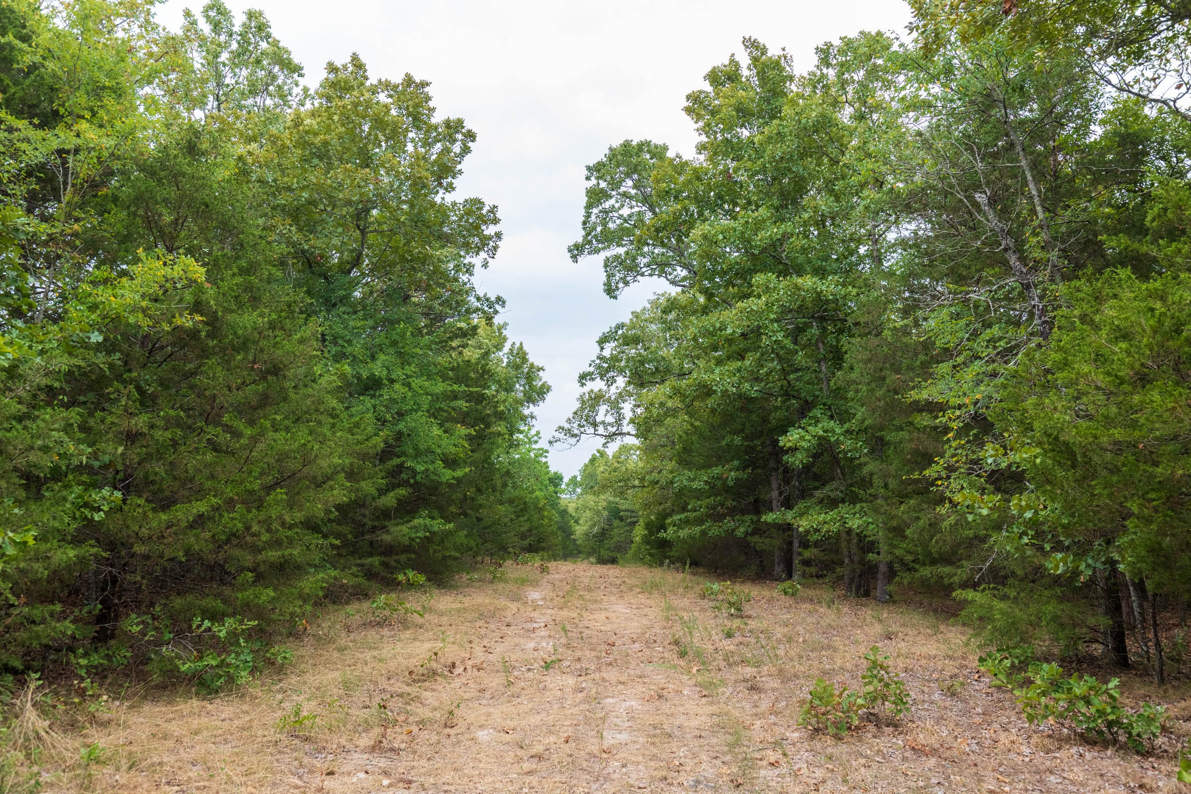 Heritage Bend Tract 36 photo 16
