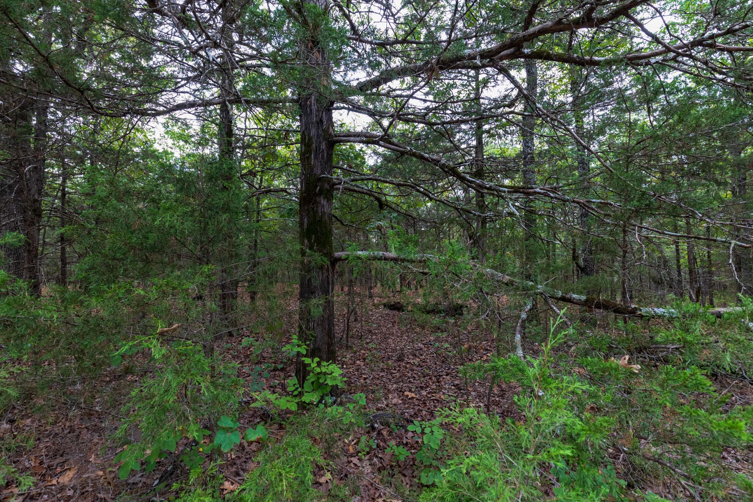 Heritage Bend Tract 36 photo 17
