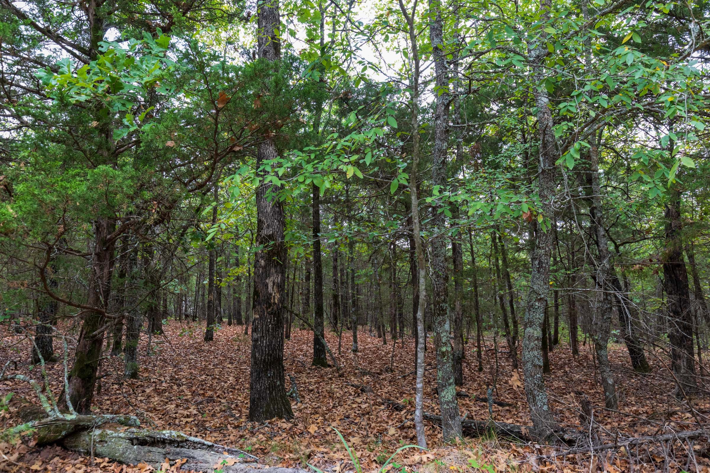 Heritage Bend Tract 36 photo 18
