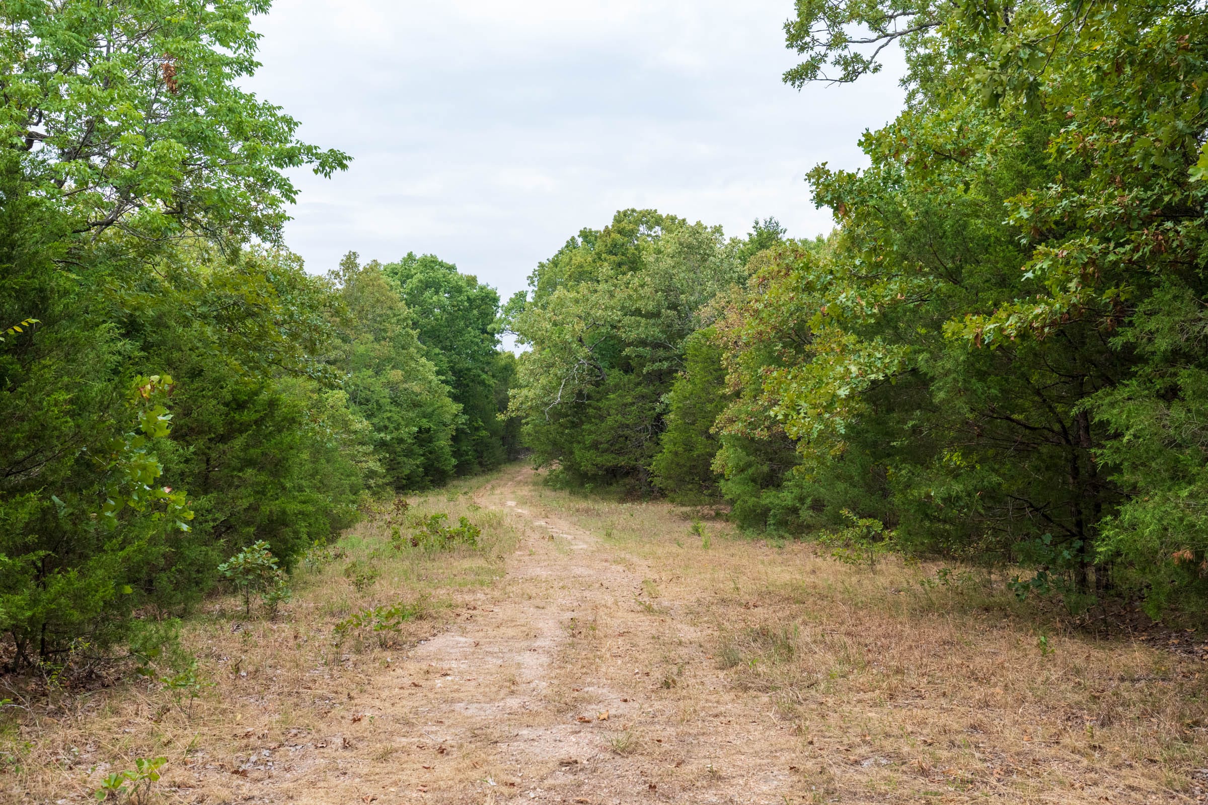 Heritage Bend Tract 36 photo 1