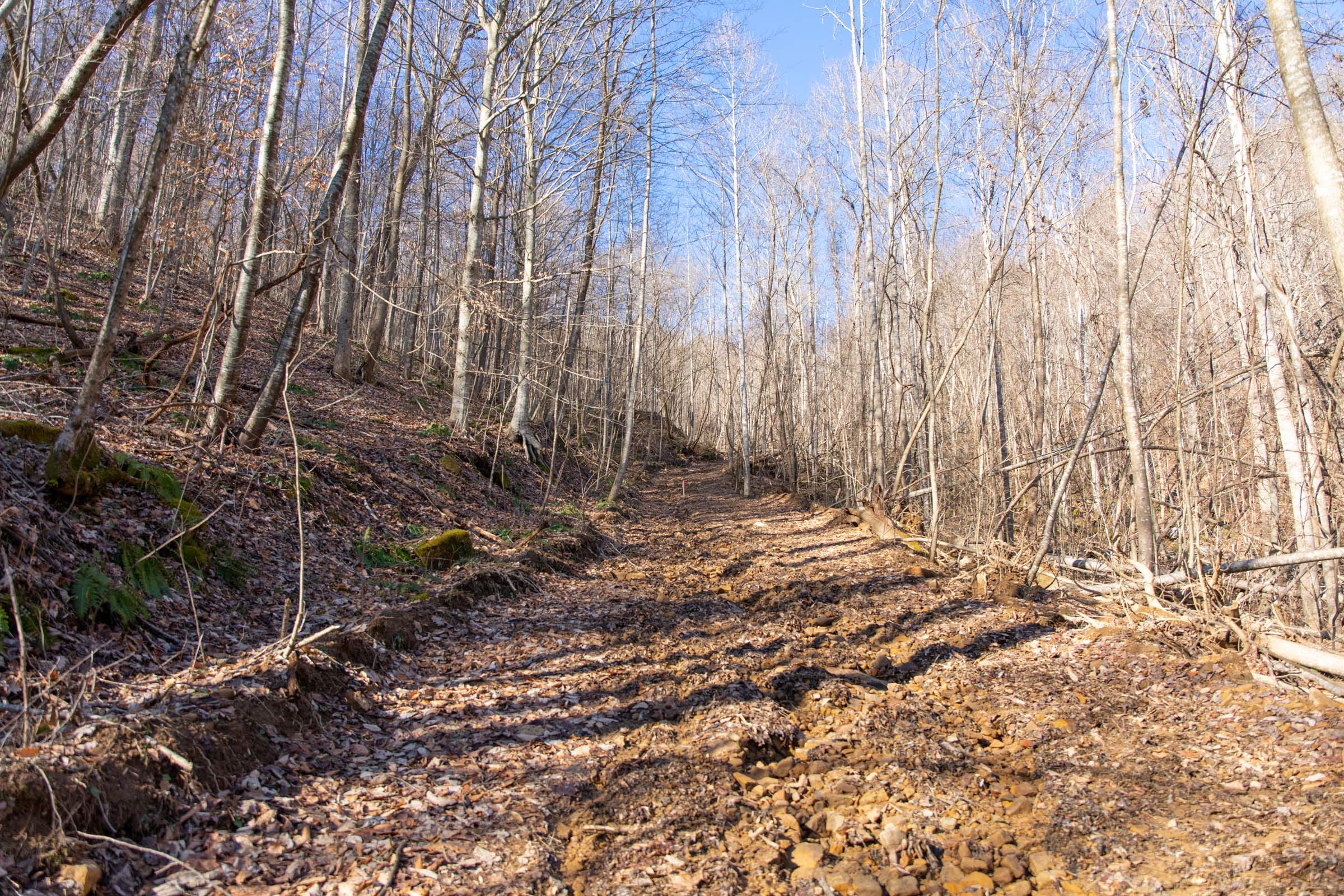 Blackstone Mountain Phase I Tract 14 photo 6