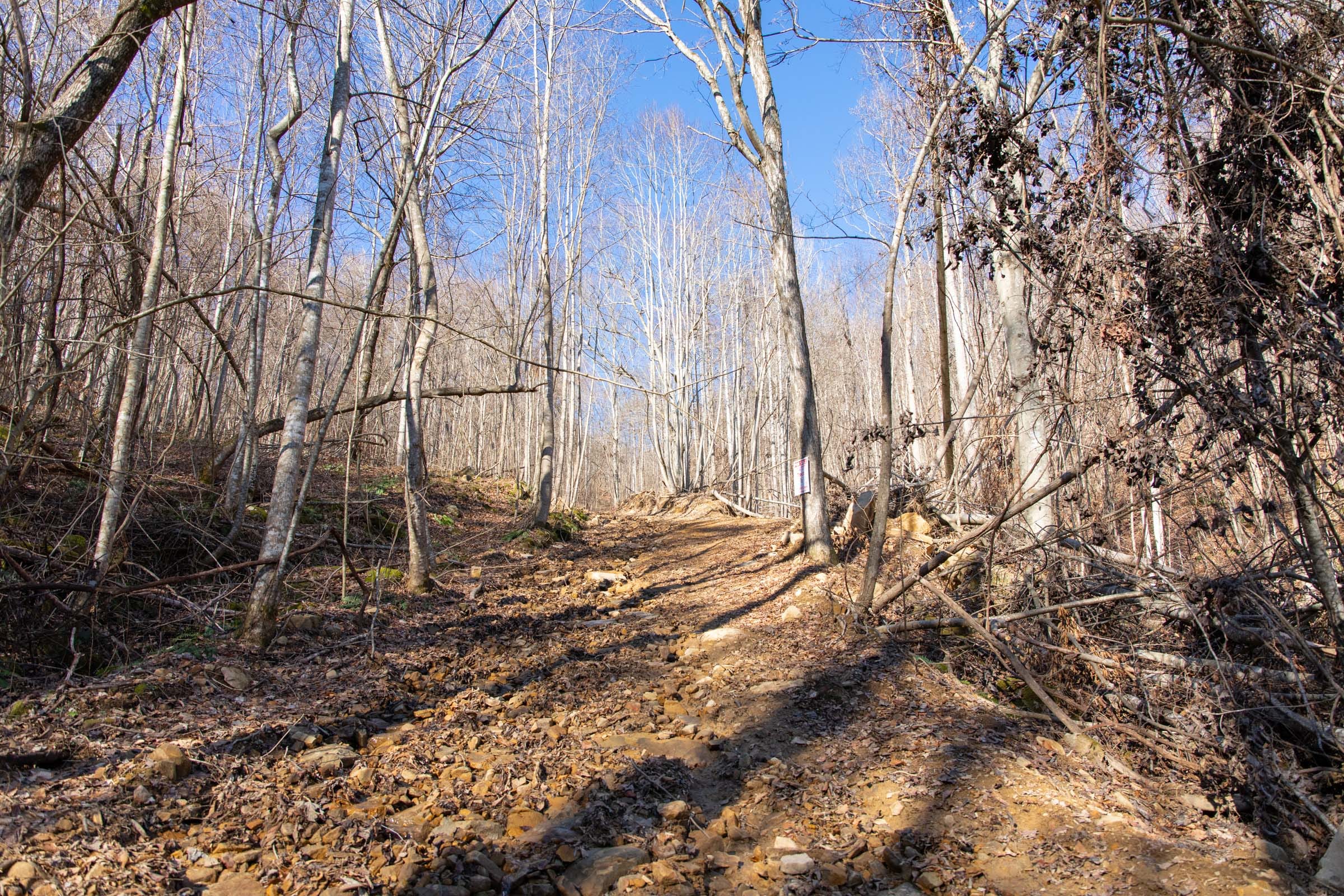 Blackstone Mountain Phase I Tract 14 photo 18