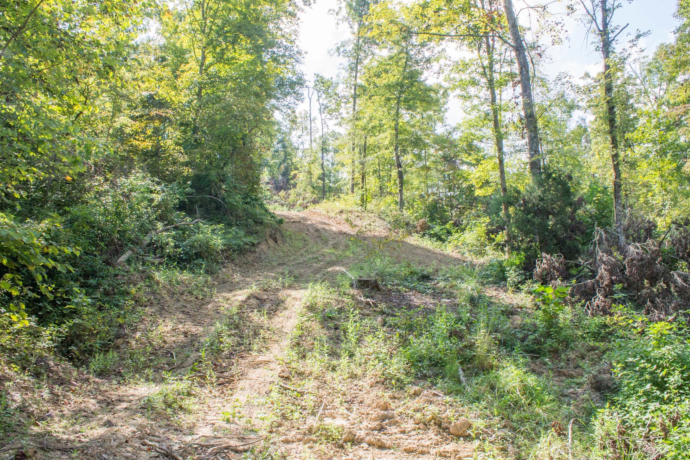 Buck Run Ridge Tract 17 photo 1