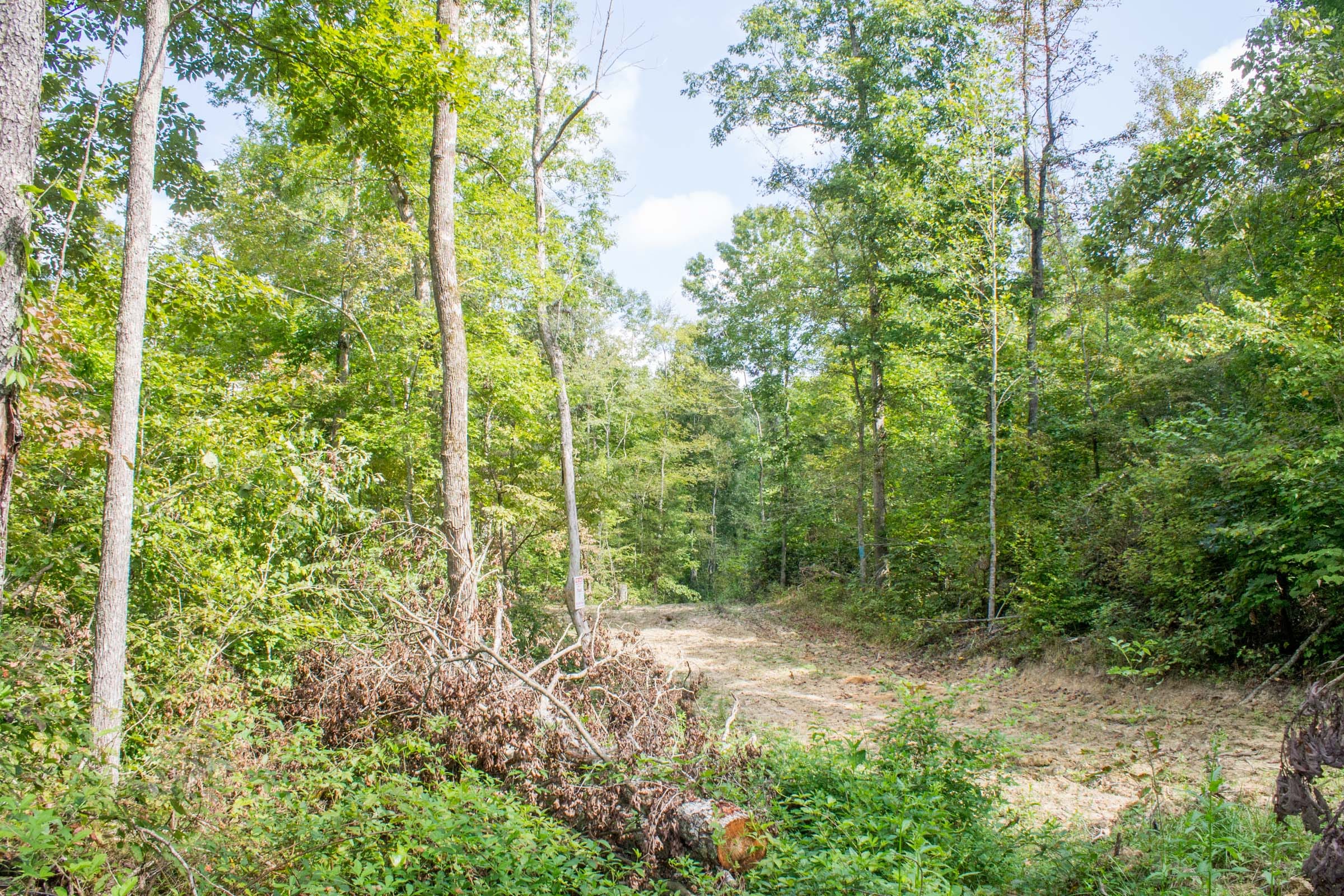 Buck Run Ridge Tract 17 photo 7