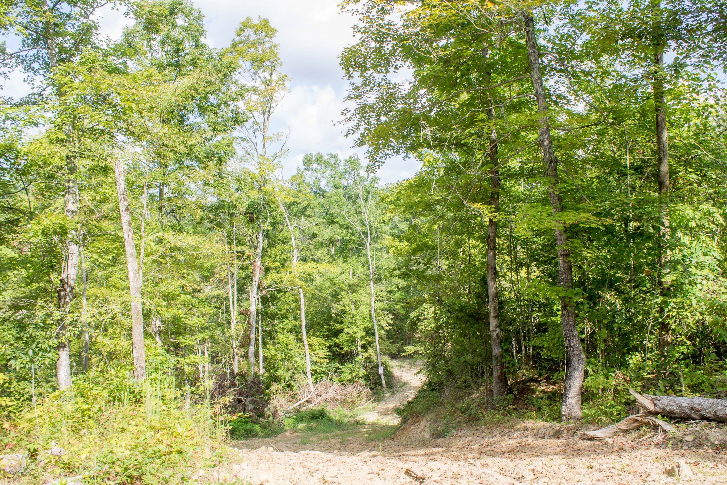 Buck Run Ridge Tract 17 photo 8