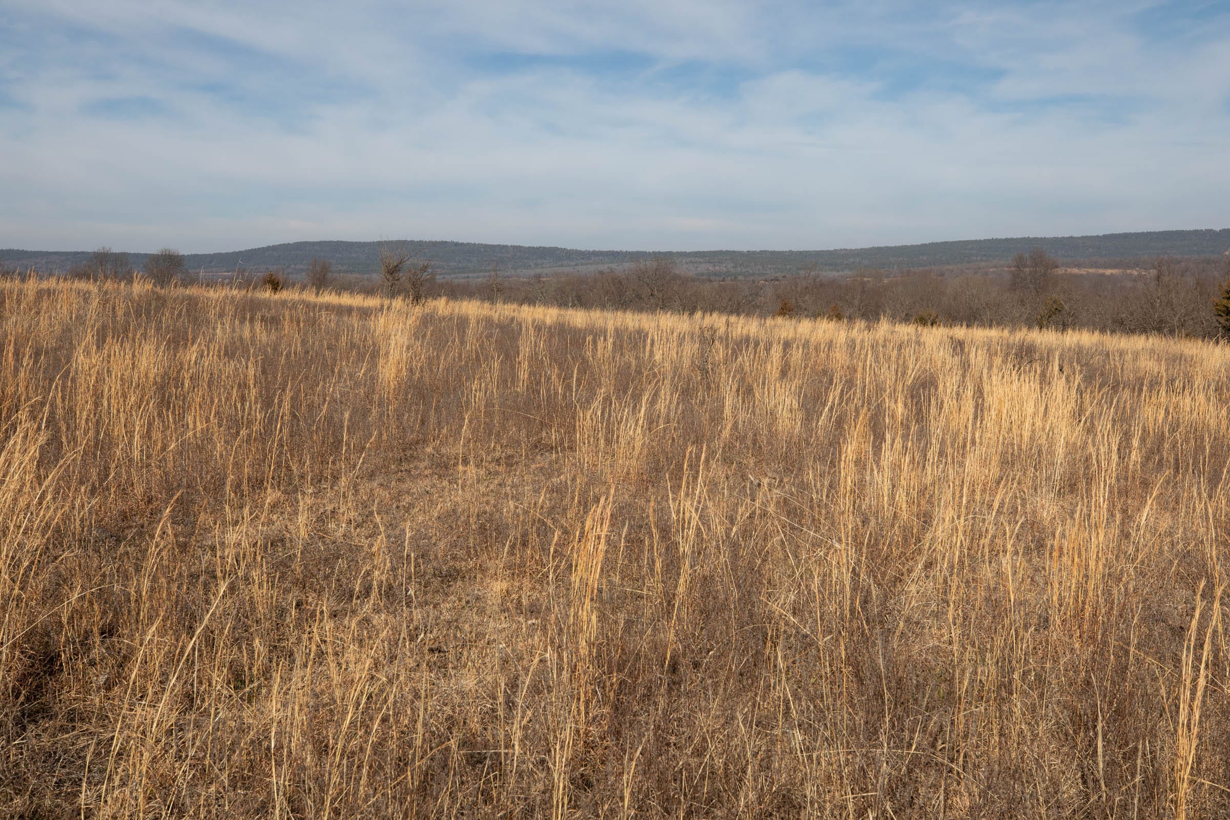 Painted Horse Tract 19 photo 3