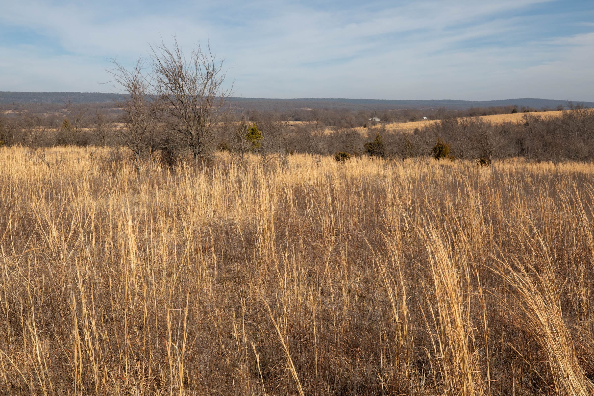 Painted Horse Tract 19 photo 5