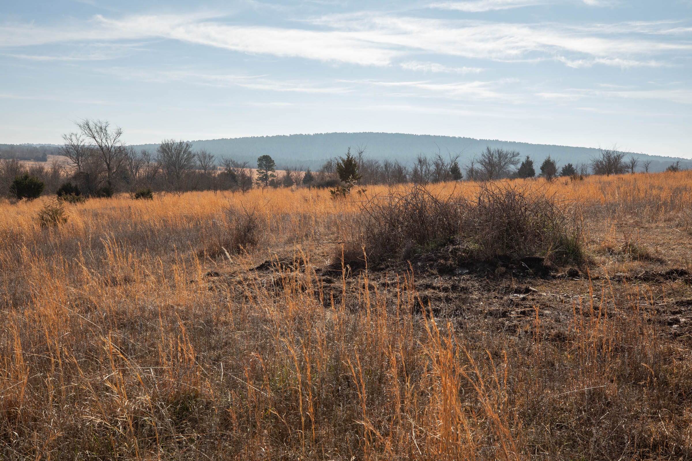 Painted Horse Tract 19 photo 6