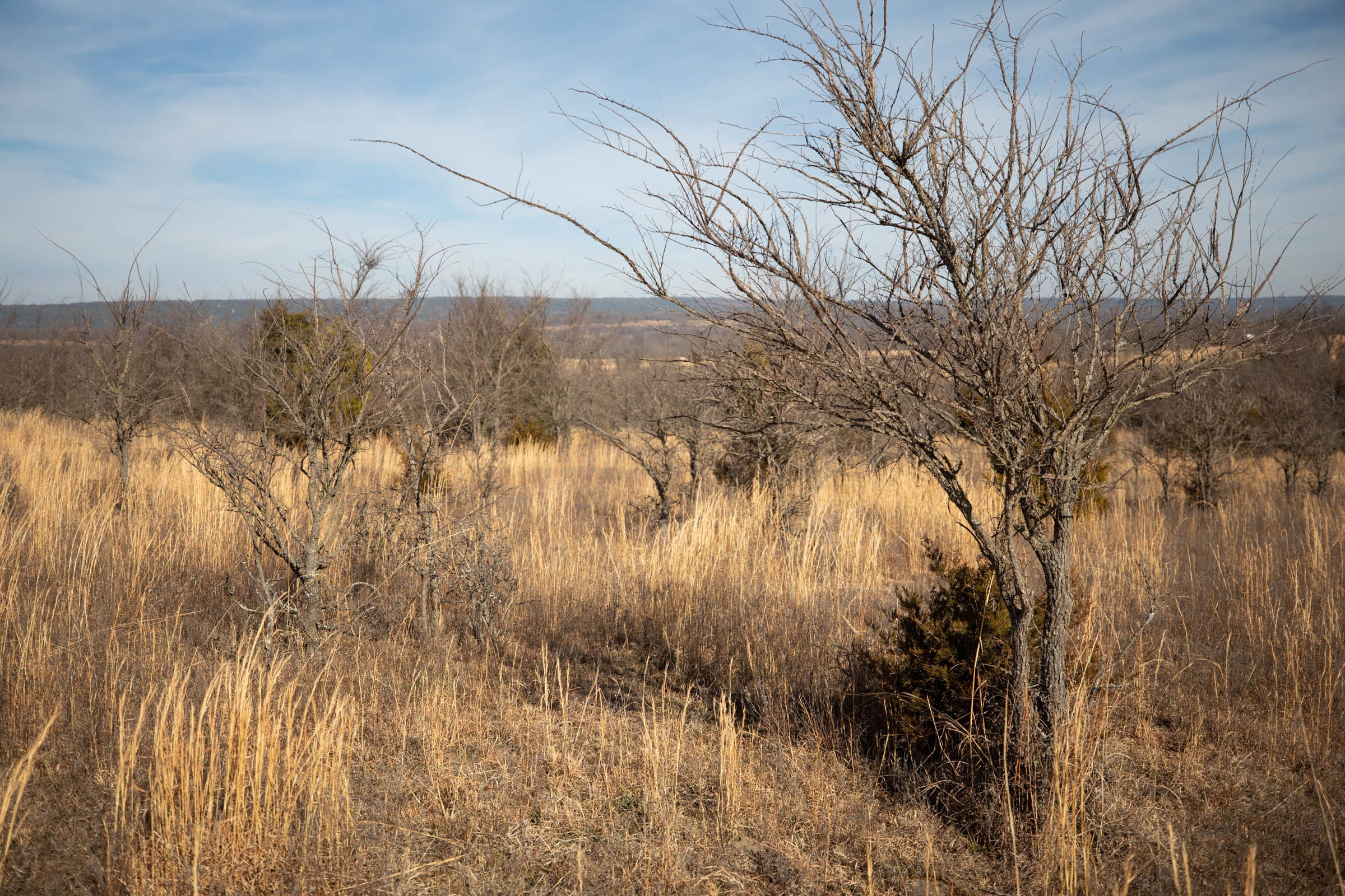 Painted Horse Tract 19 photo 7